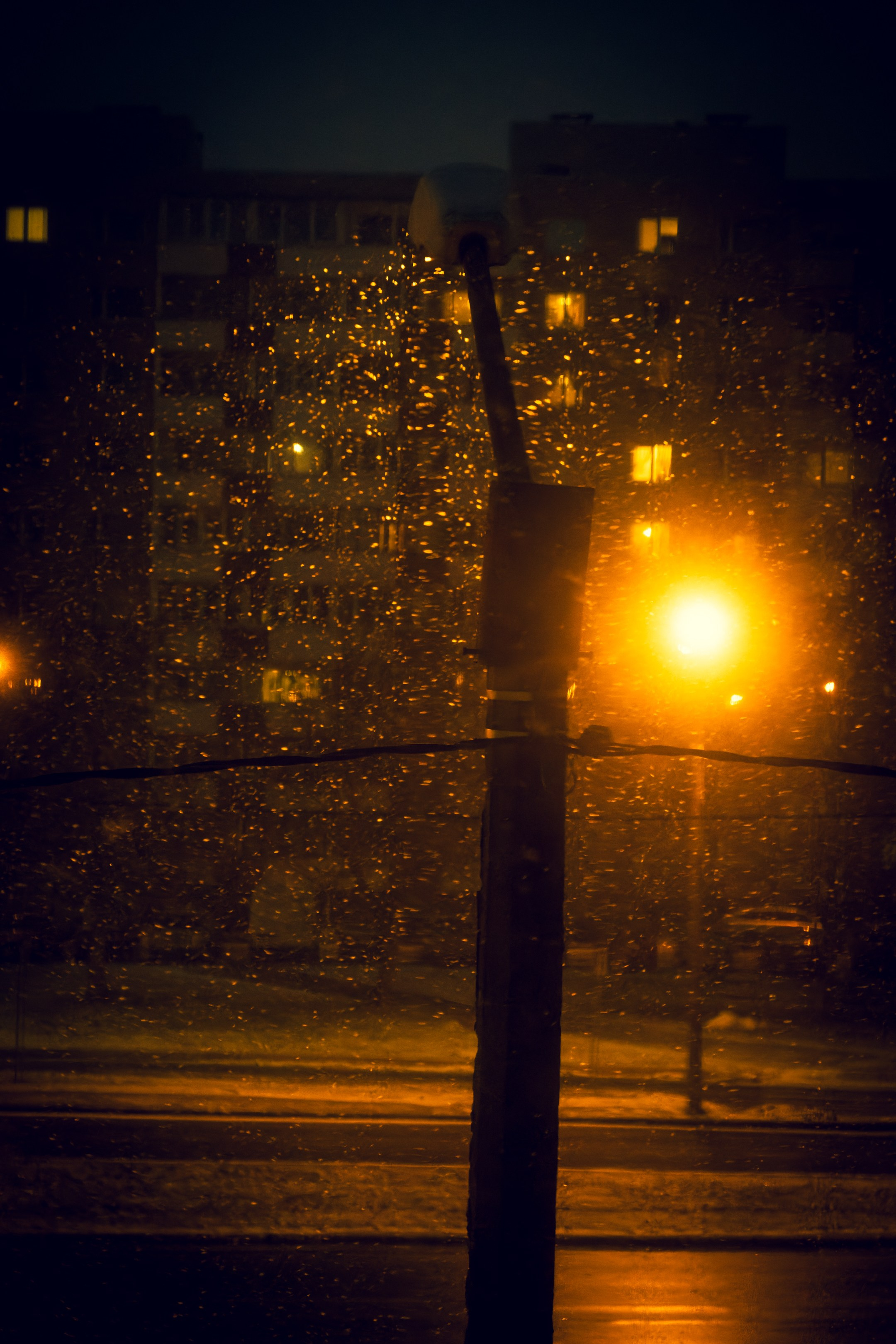 Eelmine öö. Nebula 25 — Fotod teie hingele