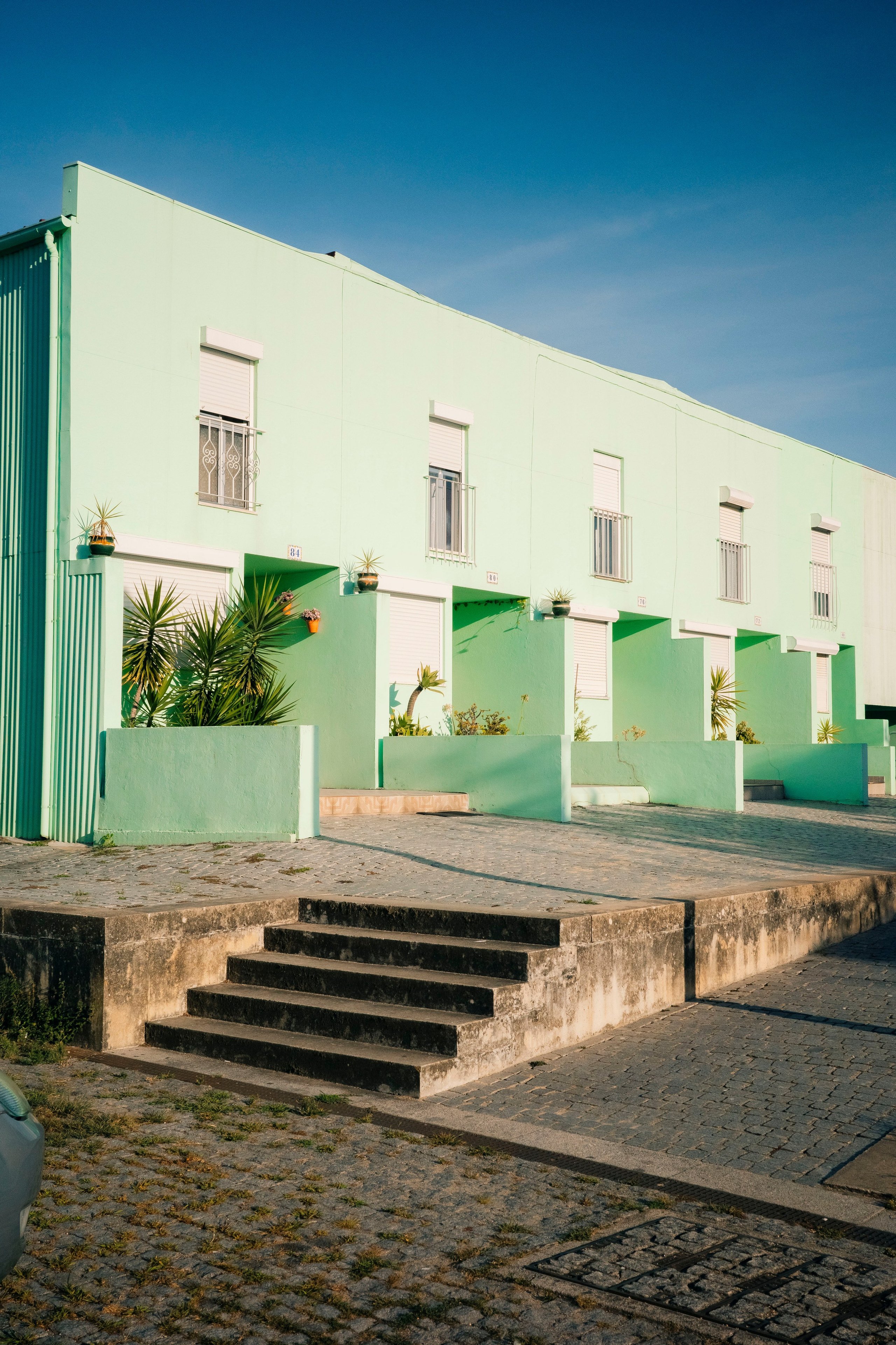 Работы Марии Шер. Sher.SCHOOL