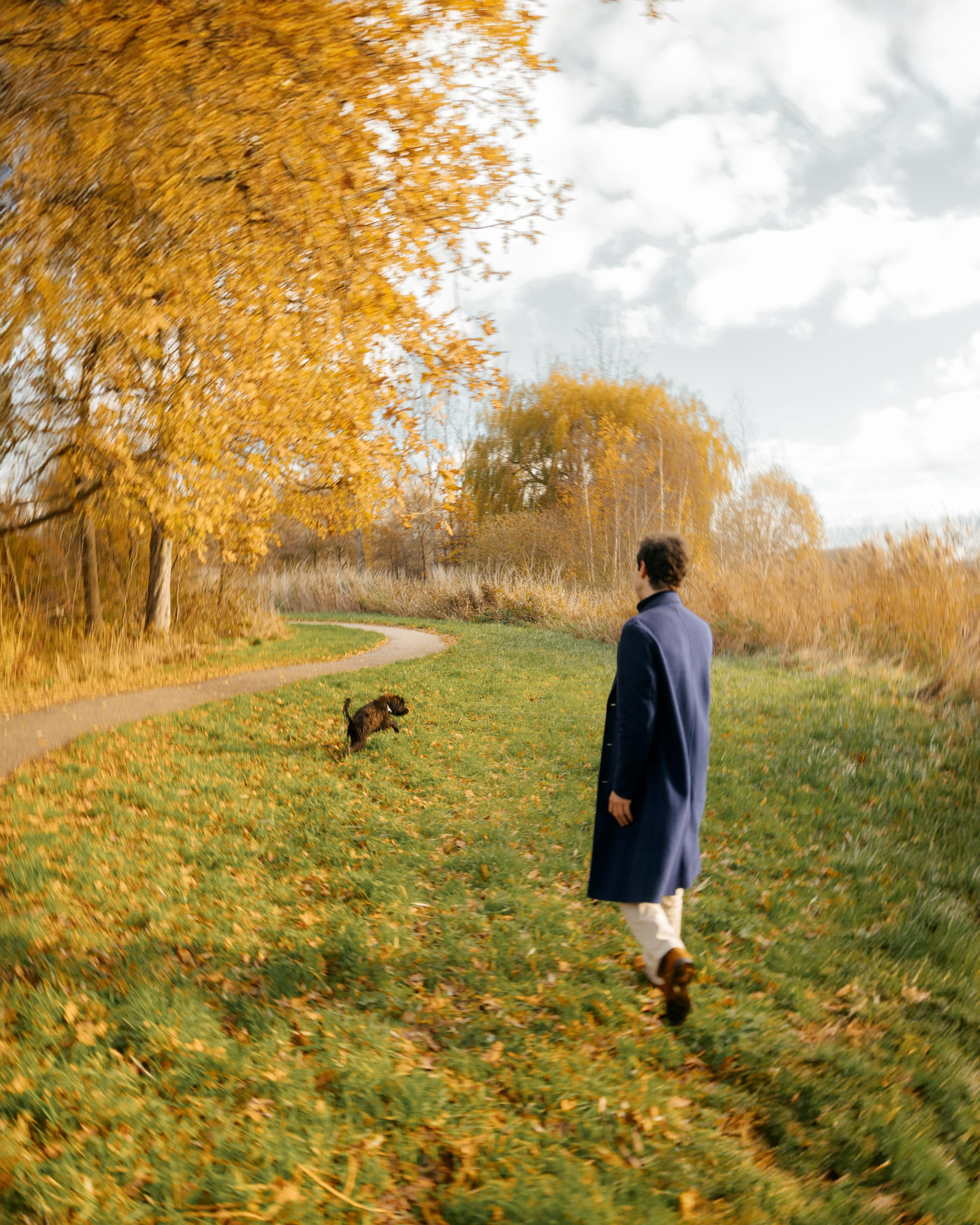 Pet Photoshoot in Spijkenisse | Rotterdam. Romantic & Soulful Photography by Natalia Olhova in Rotterdam