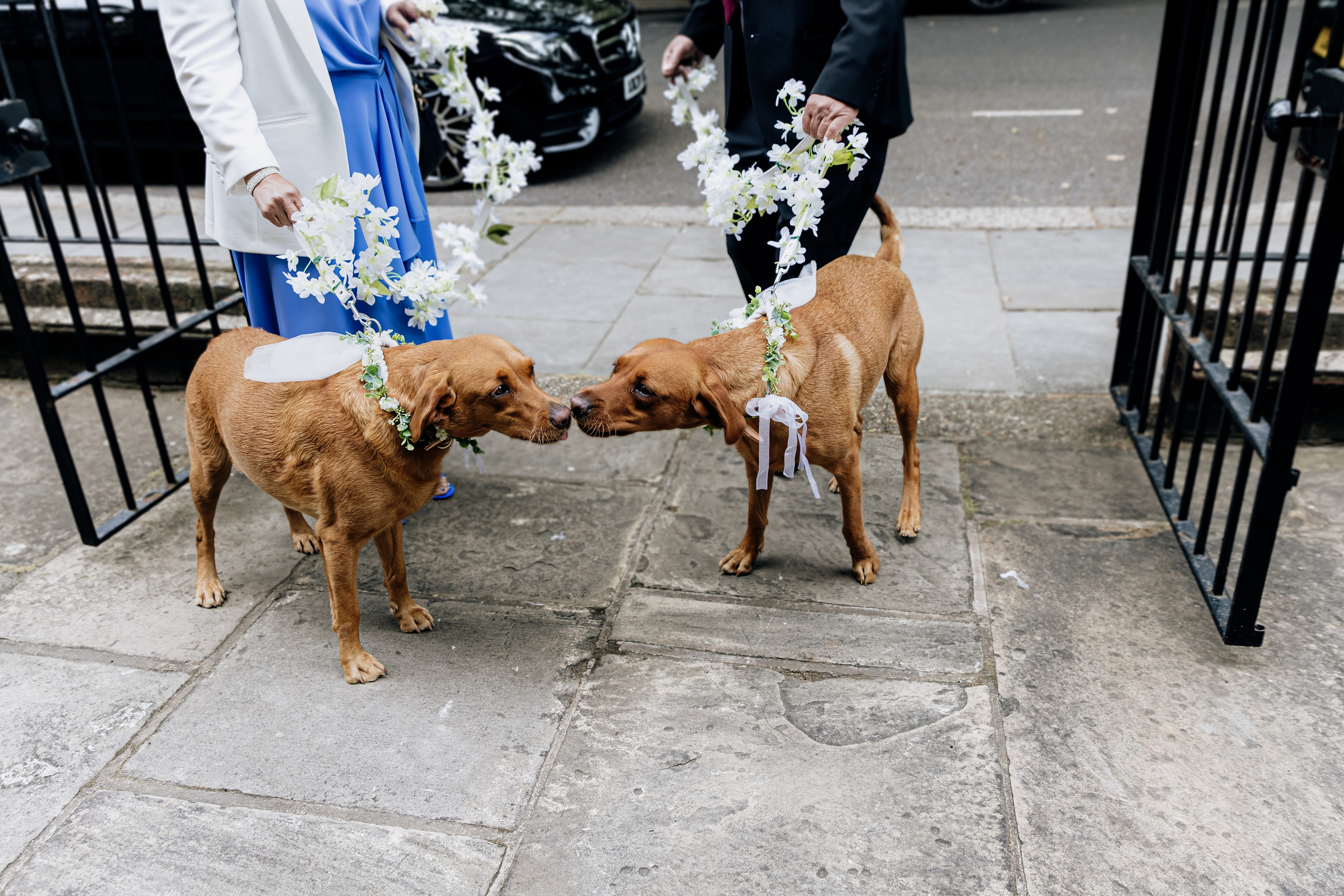 Elegant Wedding Photo Gallery. Timeless Wedding & Event Photography from London to the world