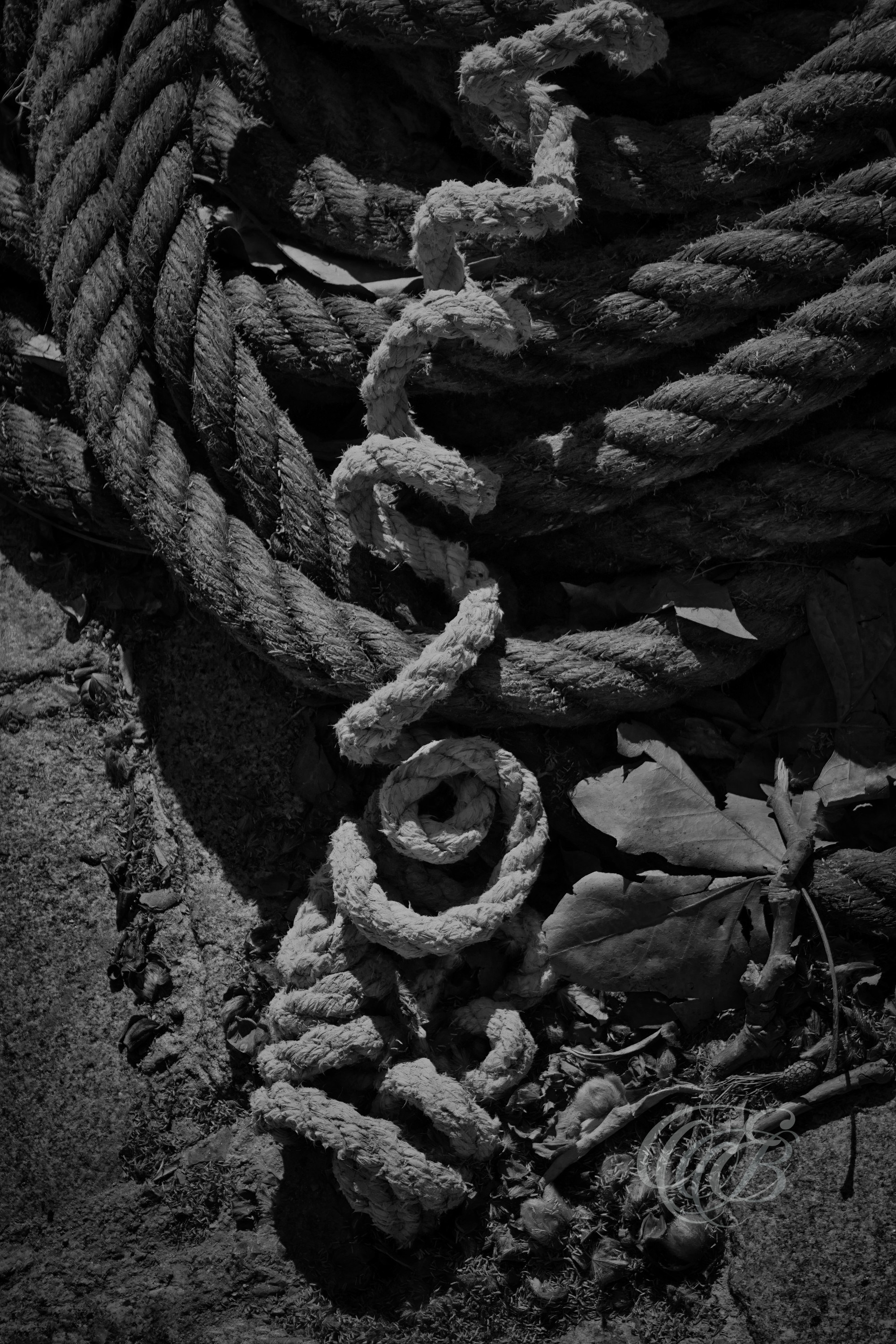 Mallorca in Black & White — Fine Art Photography Noir. Eduardo Bartoli Photography