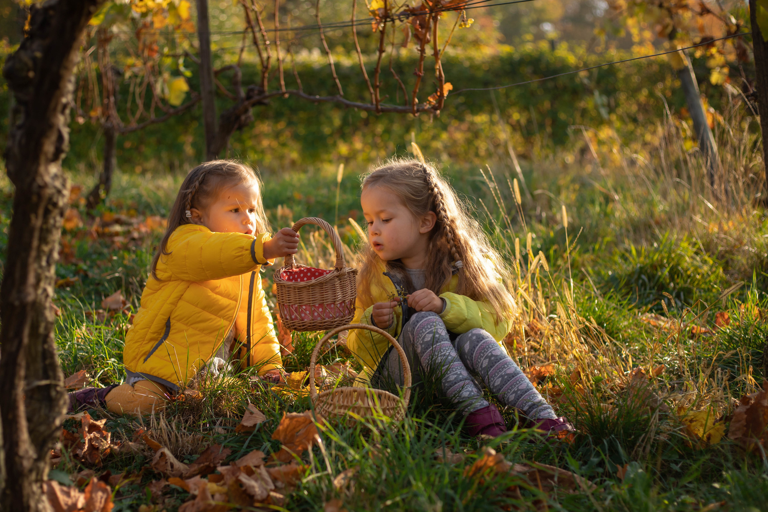 Familienfotograf Freiburg. Fotograf in Freiburg, Meerim Kaufmann