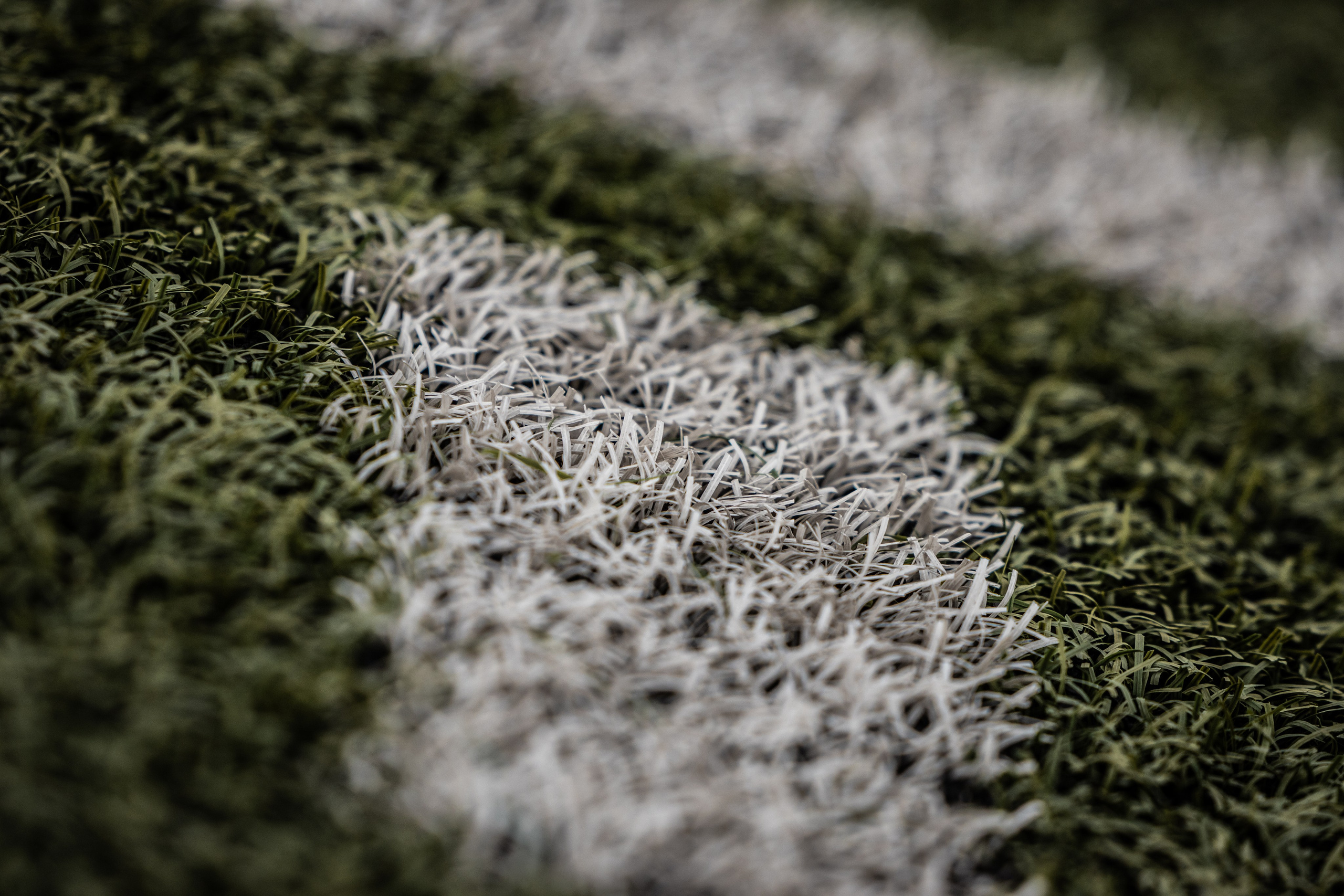 Final da taça AFL 2024/25. Retratos, eventos e Desporto