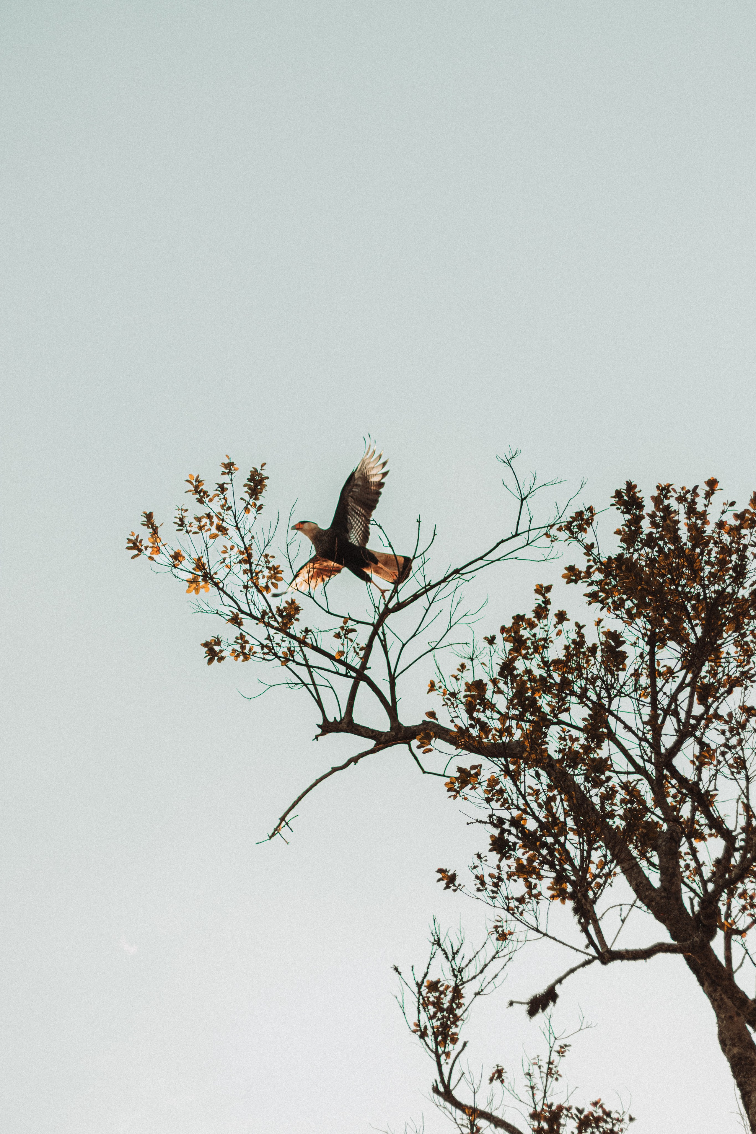 Pré Wedding — Diego & Rafaela. Pedro Rezende | Memórias Atemporais
