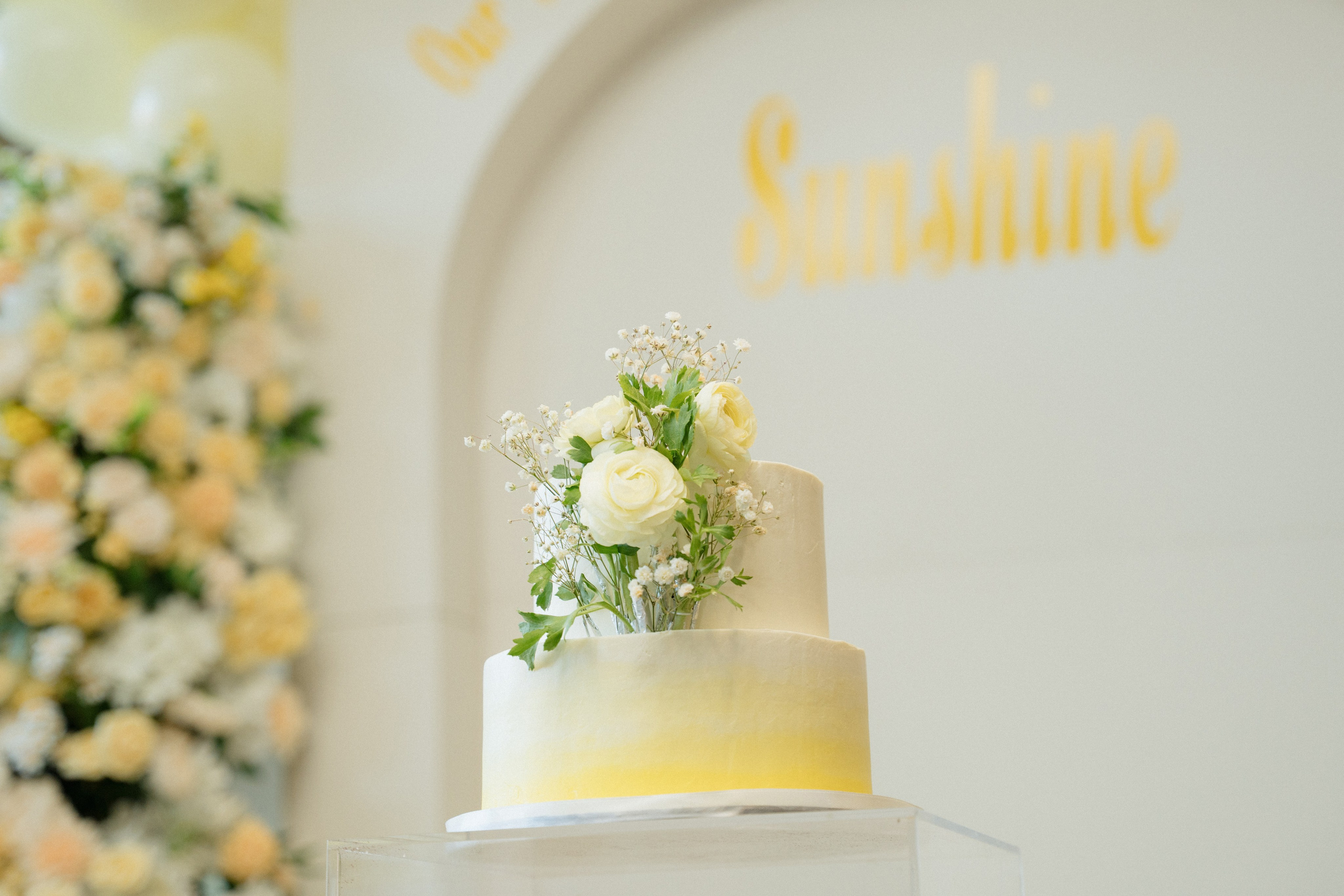 Harshada’s Baby Shower. Photographer in Washington Sophia D