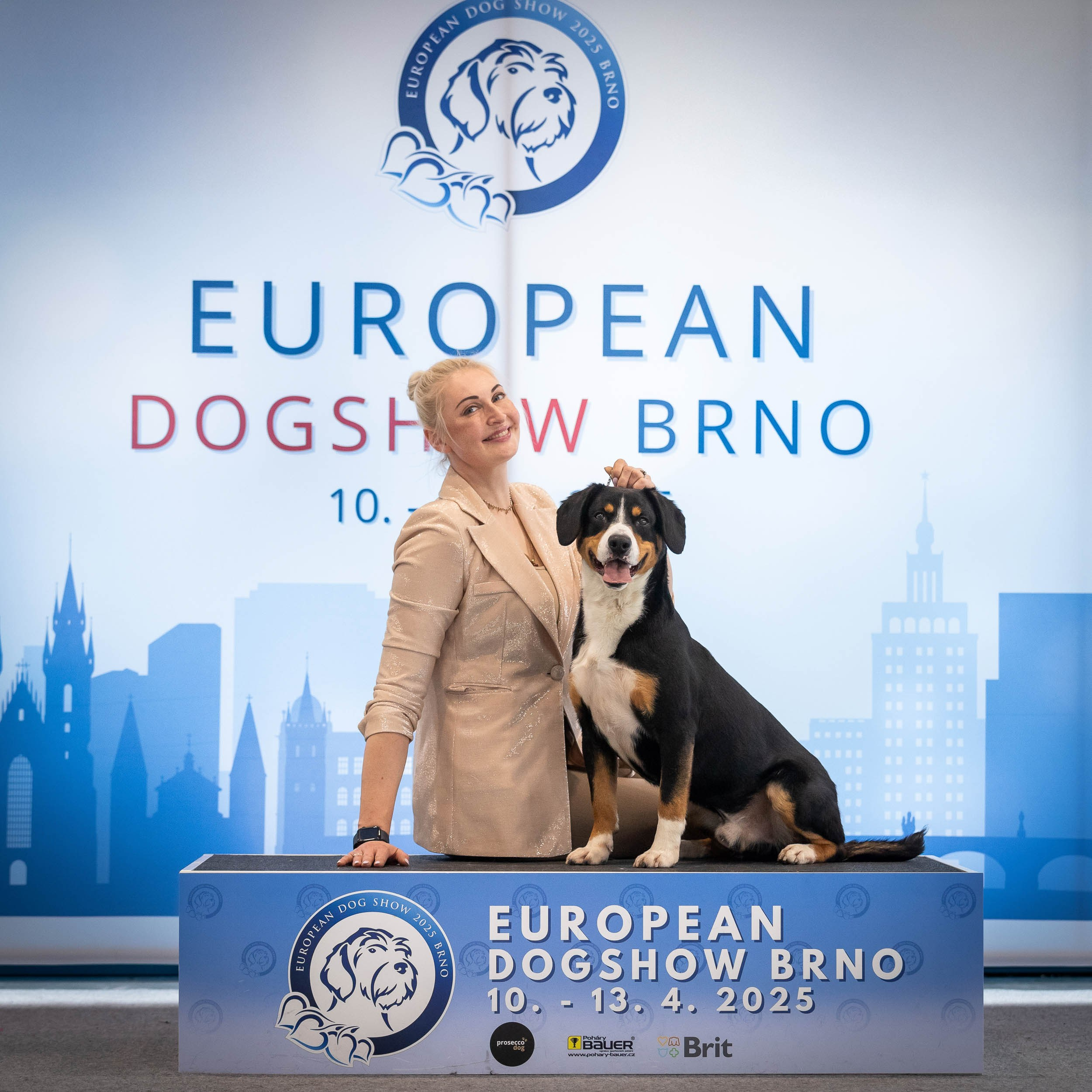 Dog Shows. Yurii Orlyk Photography