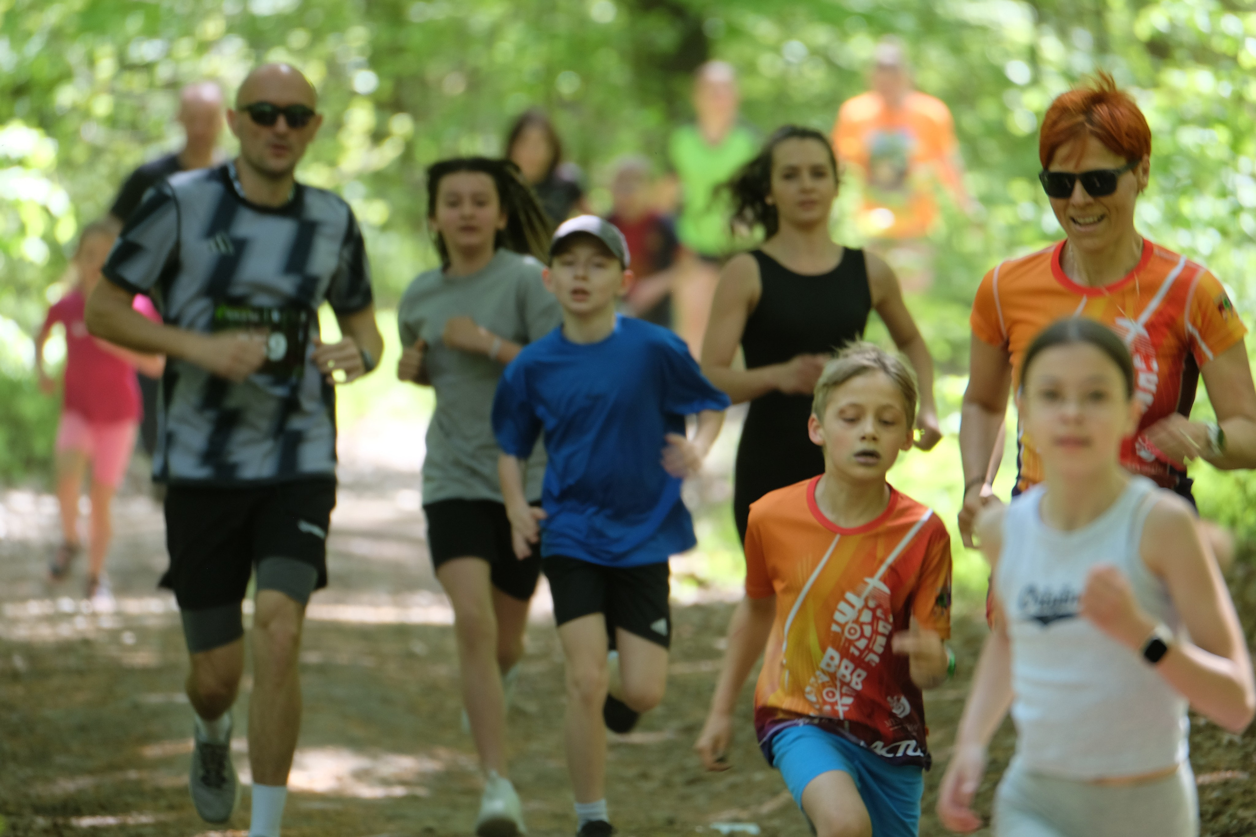 Aleksandryjska Piątka po lesie. Main