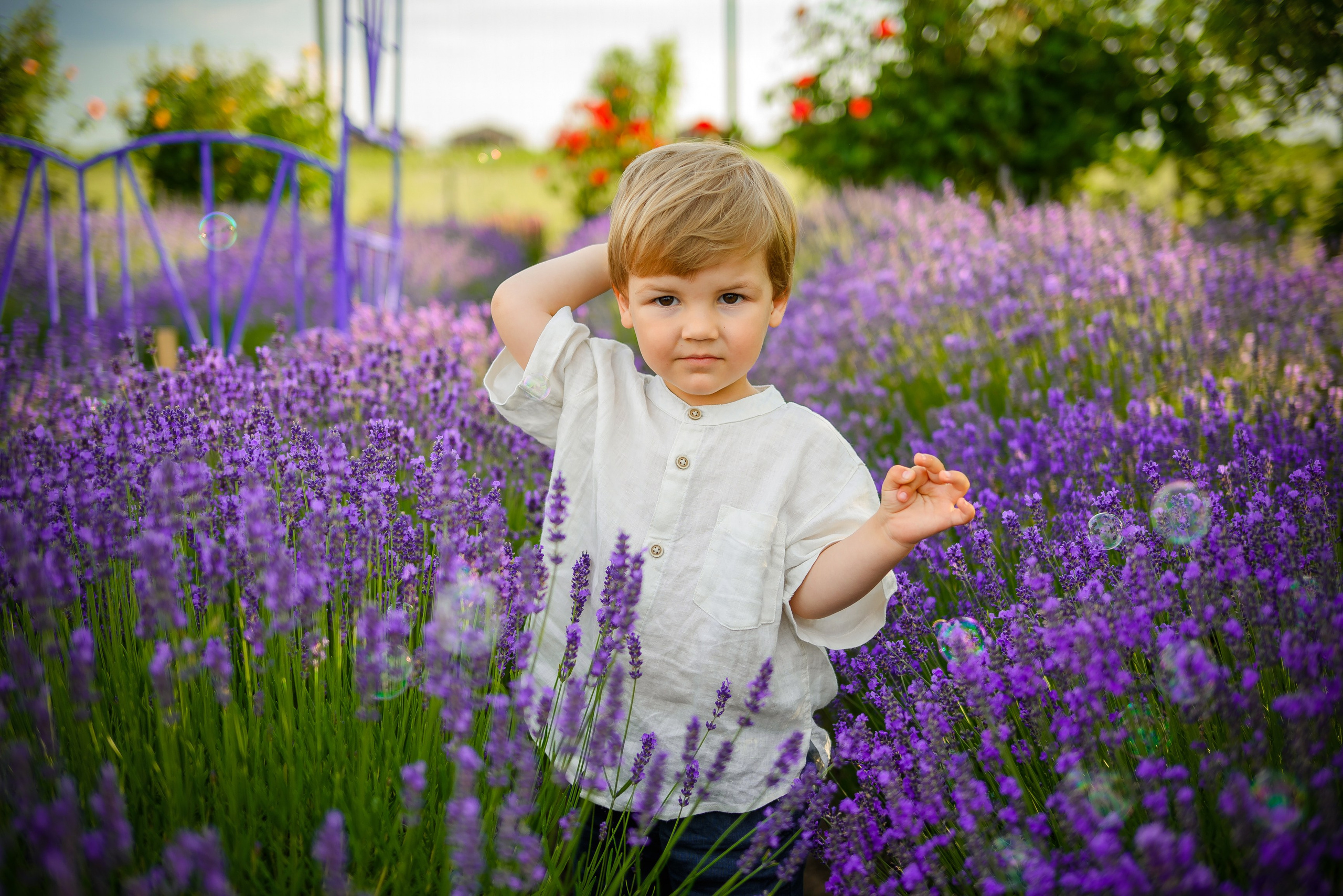 Sedinte foto in natura. Daria Kids Photo by Alexandra Tomoiu | Fotograf familie si evenimente | Militari Residence, Bucuresti