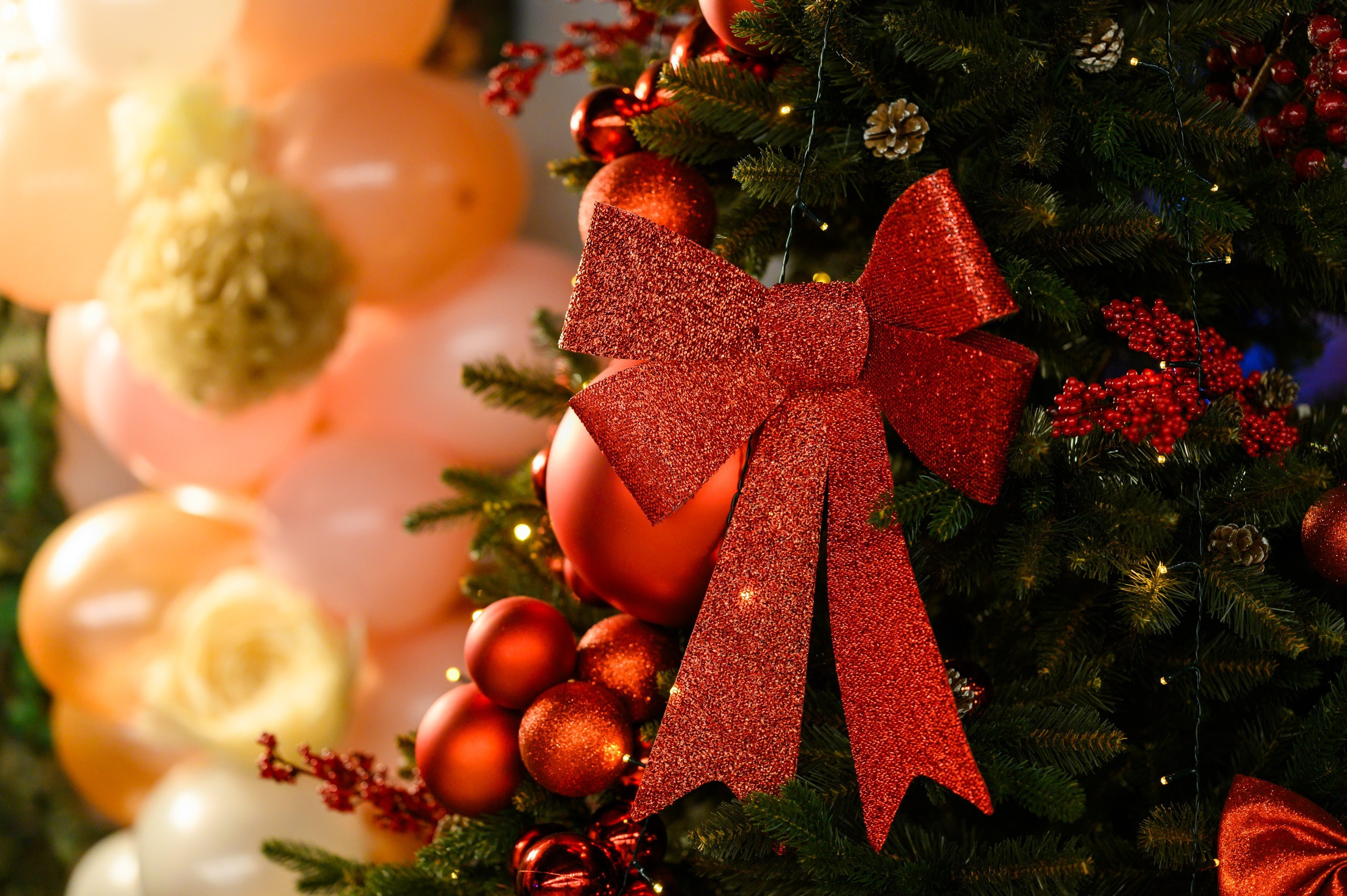 I. BCarp Productions