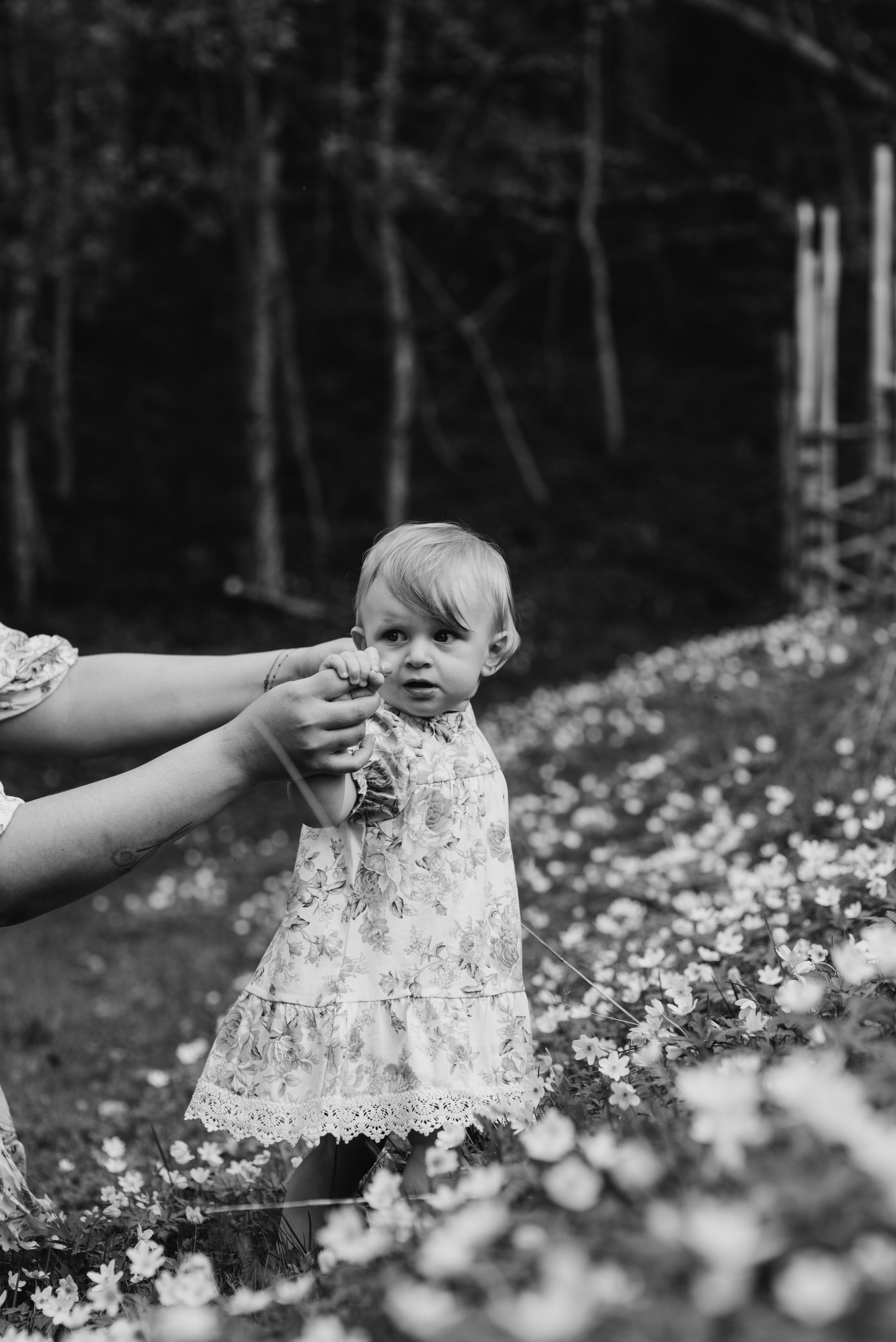 FAMILY BRULAND. Photographer and videographer in Norway and Slovakia Andrea Zemko