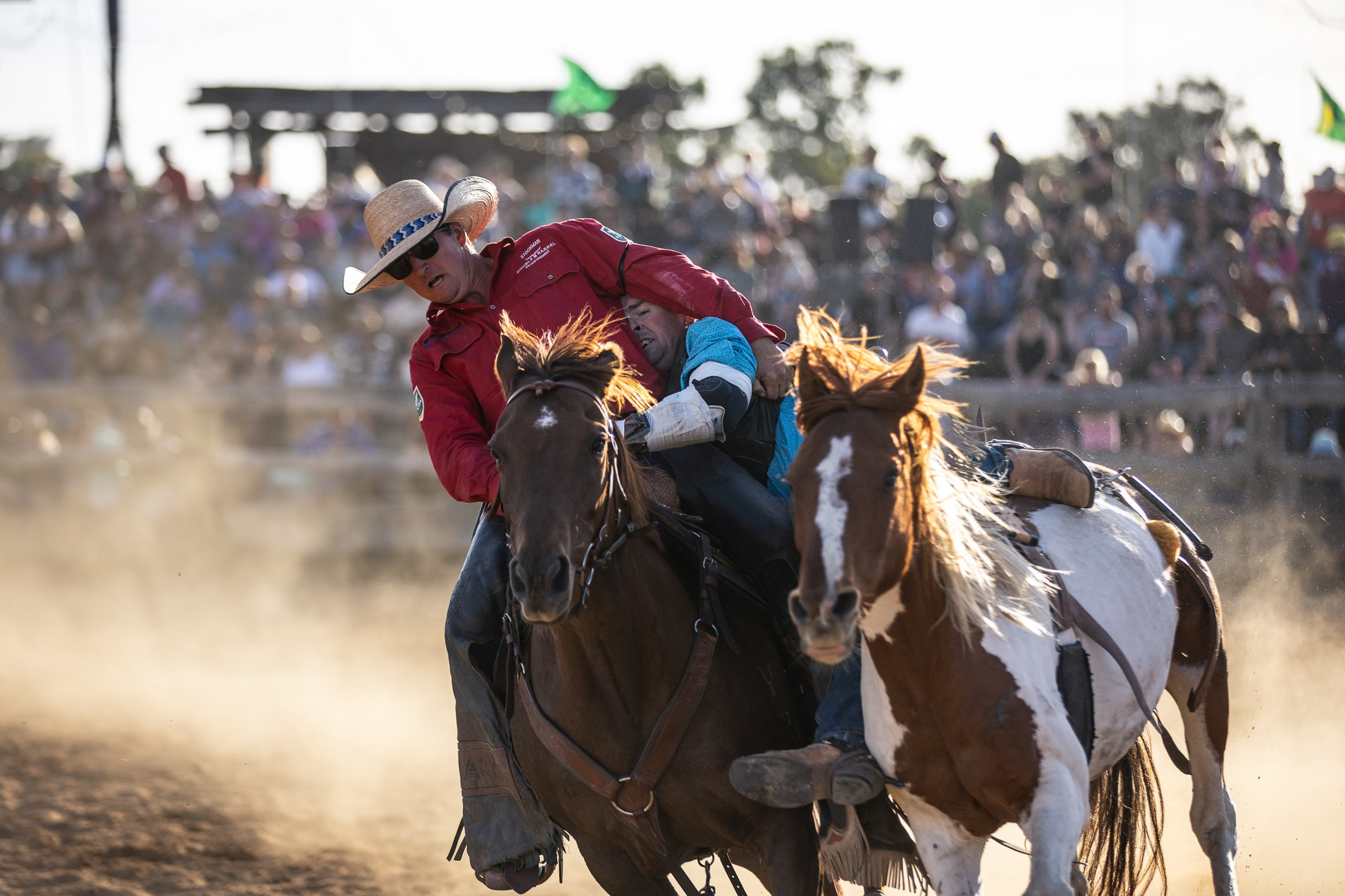 Selection of photos from different rodeos