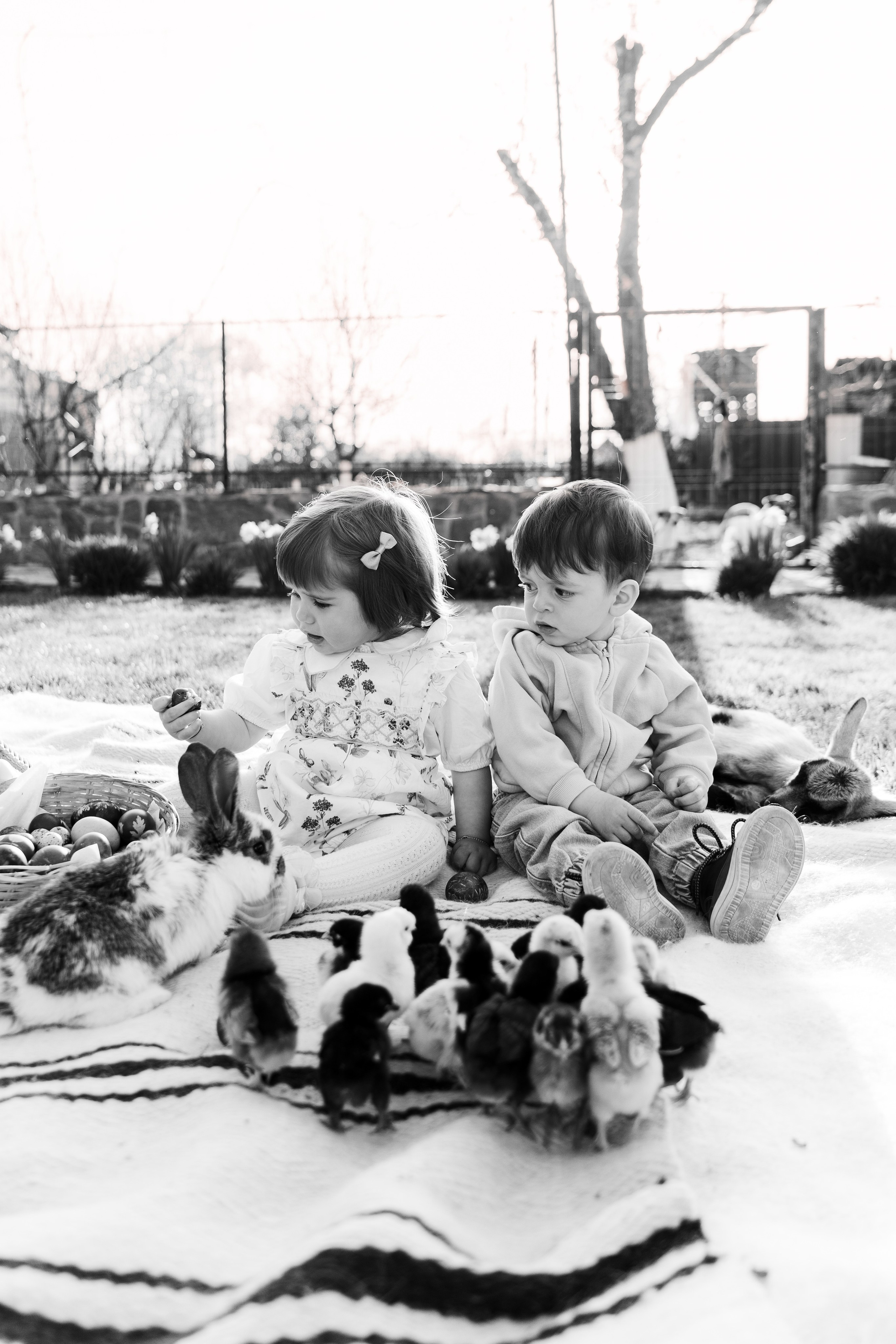 EASTER. Ars Vidi | Digital Solutions