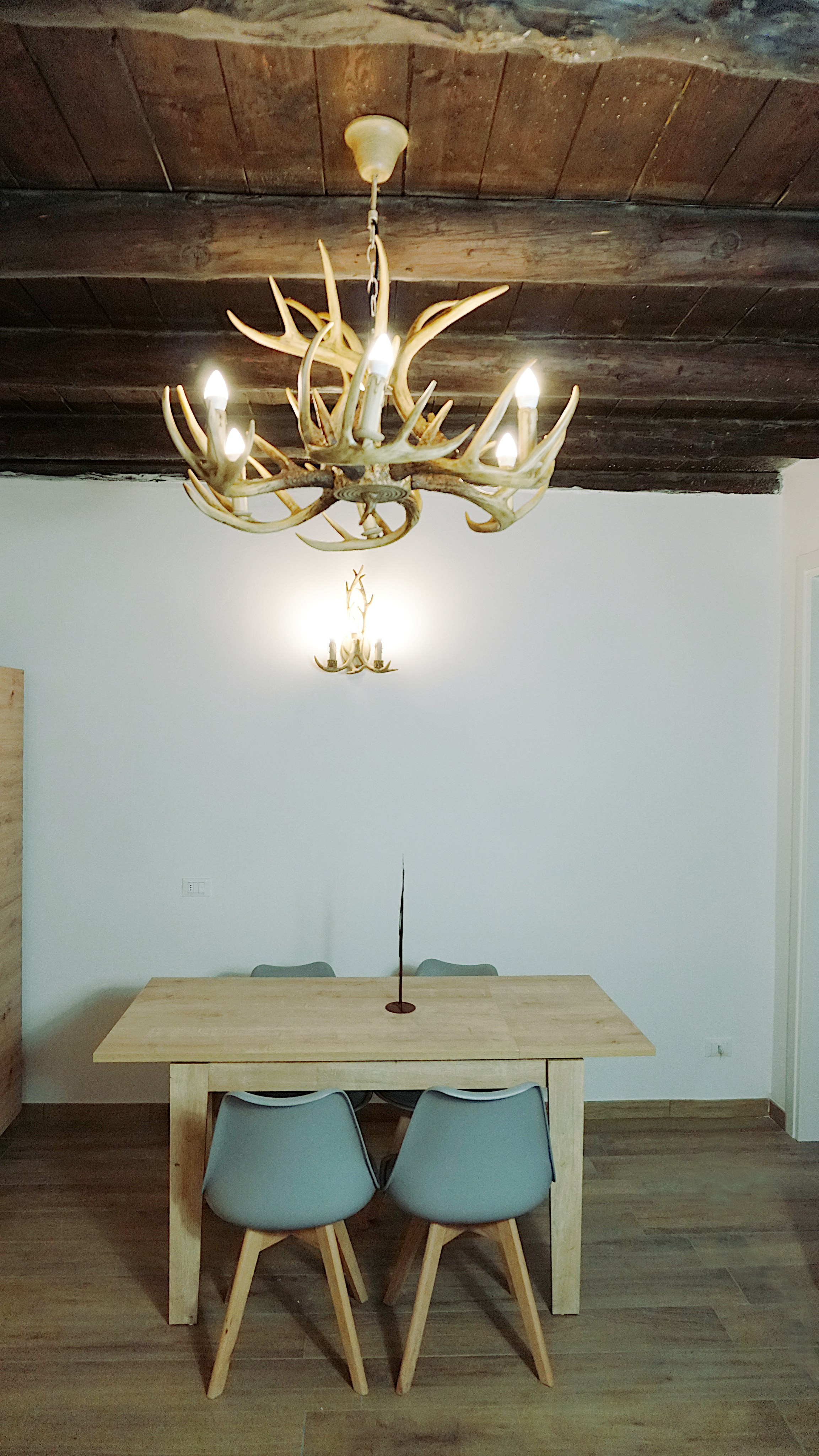 SILENZIO NEL BOSCO. Fotografa e Videografa in Puglia Sokhova Albina