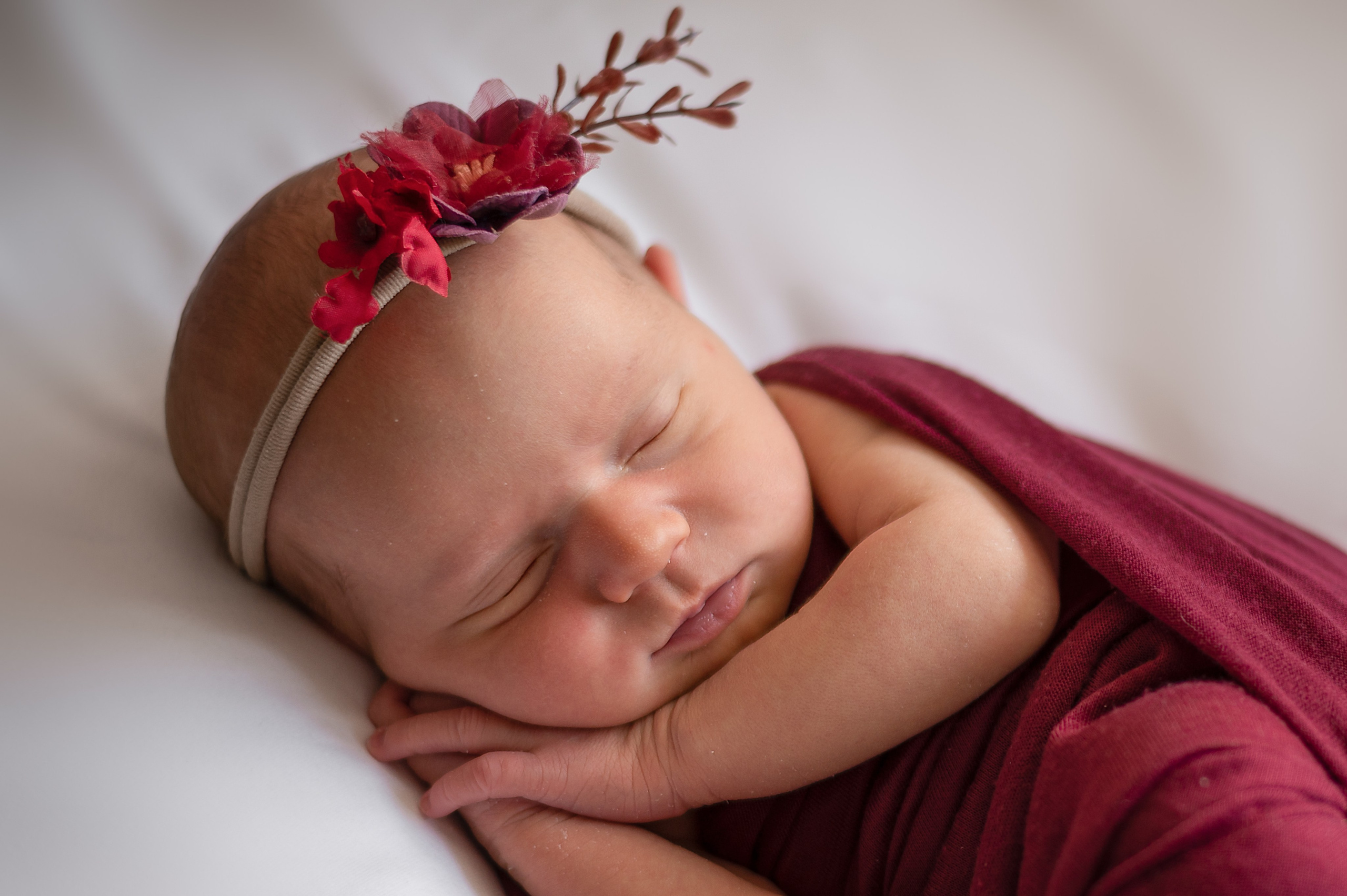 Neugeborene. Lena Horch