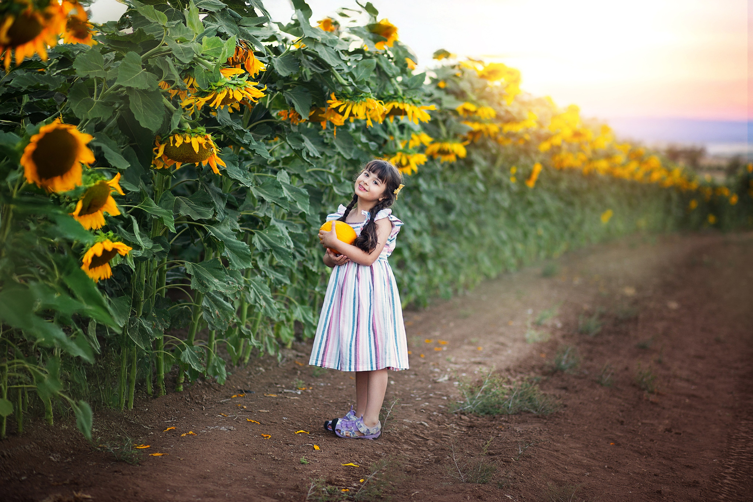 צילומי ילדים. צלמת ילדים, הריון ומשפחה בישראל