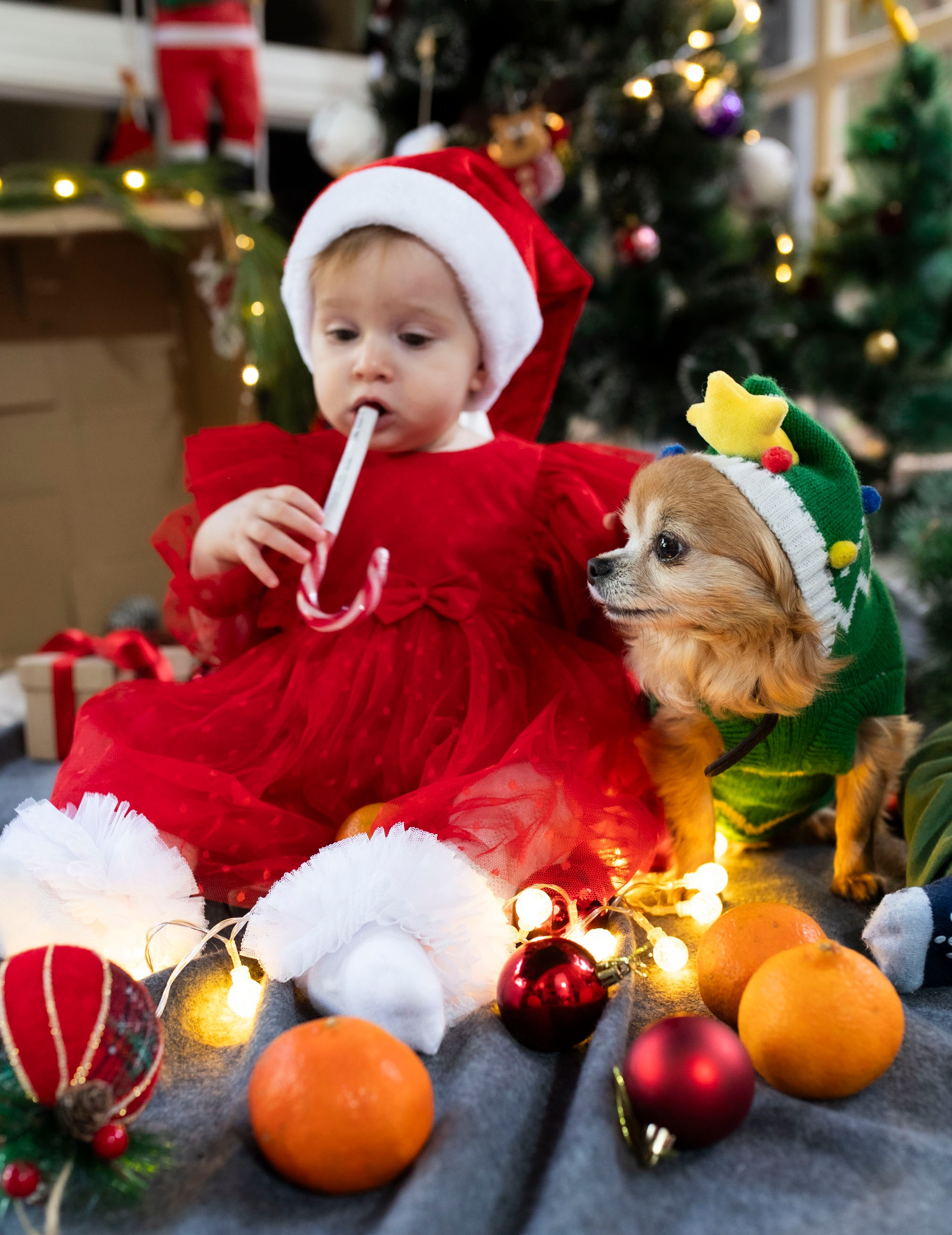 Christmas in Kindergarten. KATY GOLD PHOTOGRAPHY