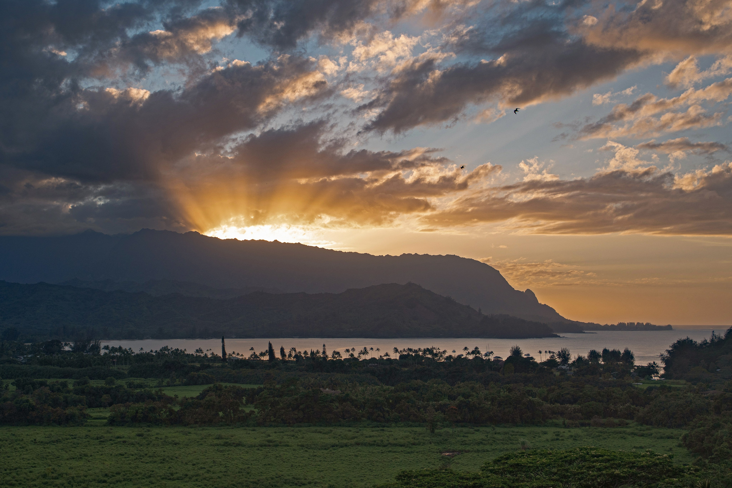 LANDSCAPES. Awards winning photographer in Kauai, Hawaii