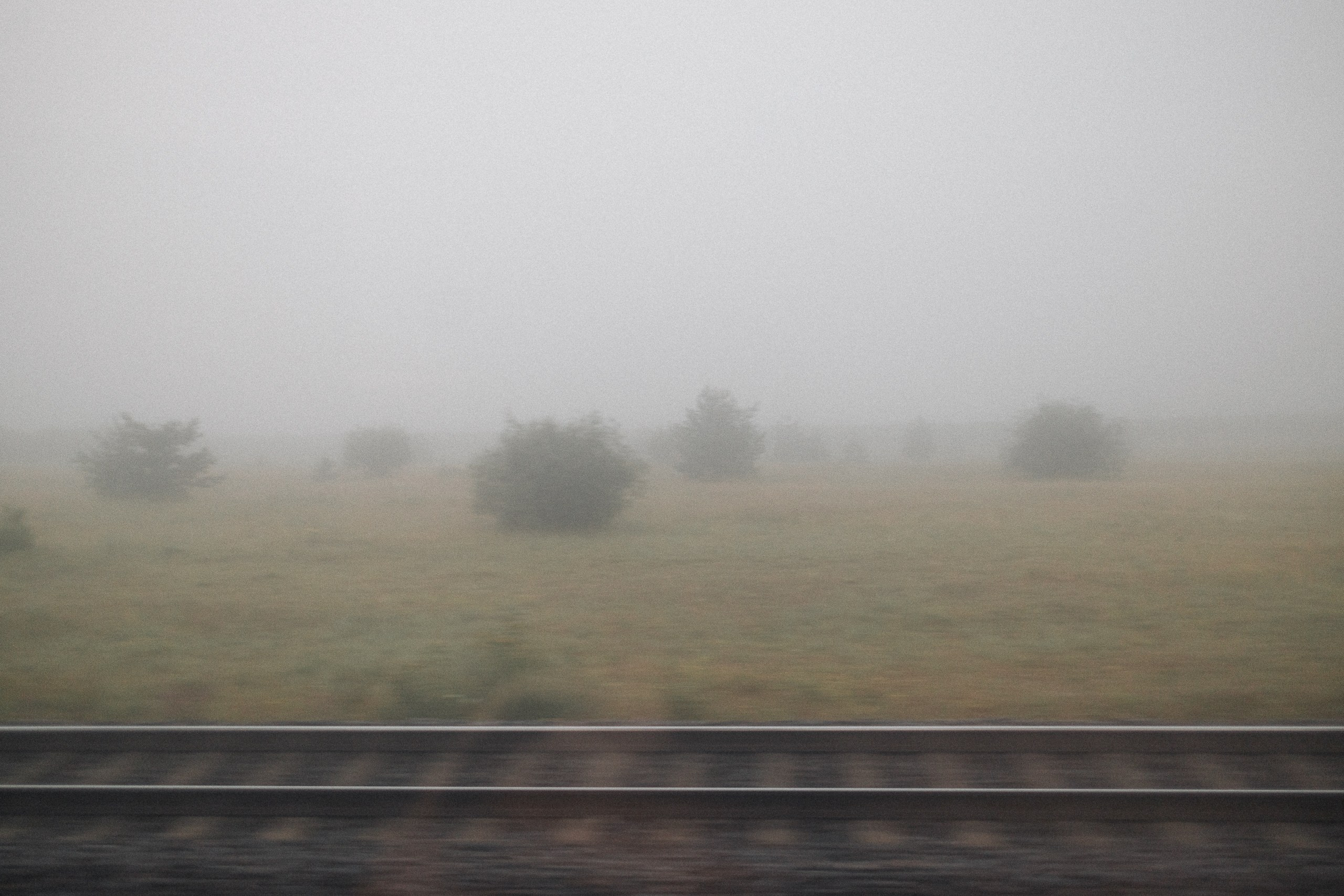 Street Photography. Portree- ja perefotograaf Anton Hansen Tallinnas, Eestis