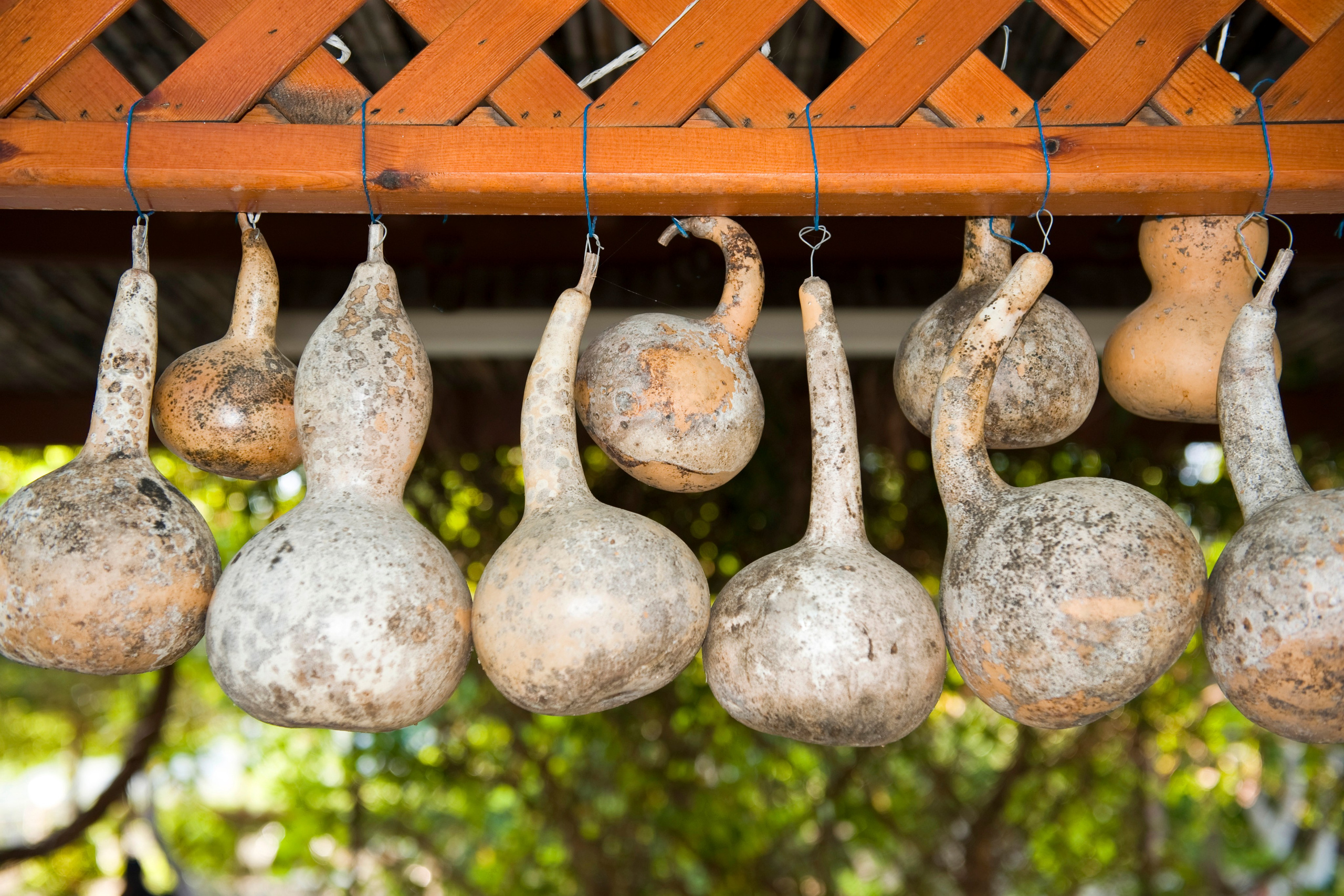 ТРЕВЕЛ. Фотограф и преподаватель фотографии в Белграде