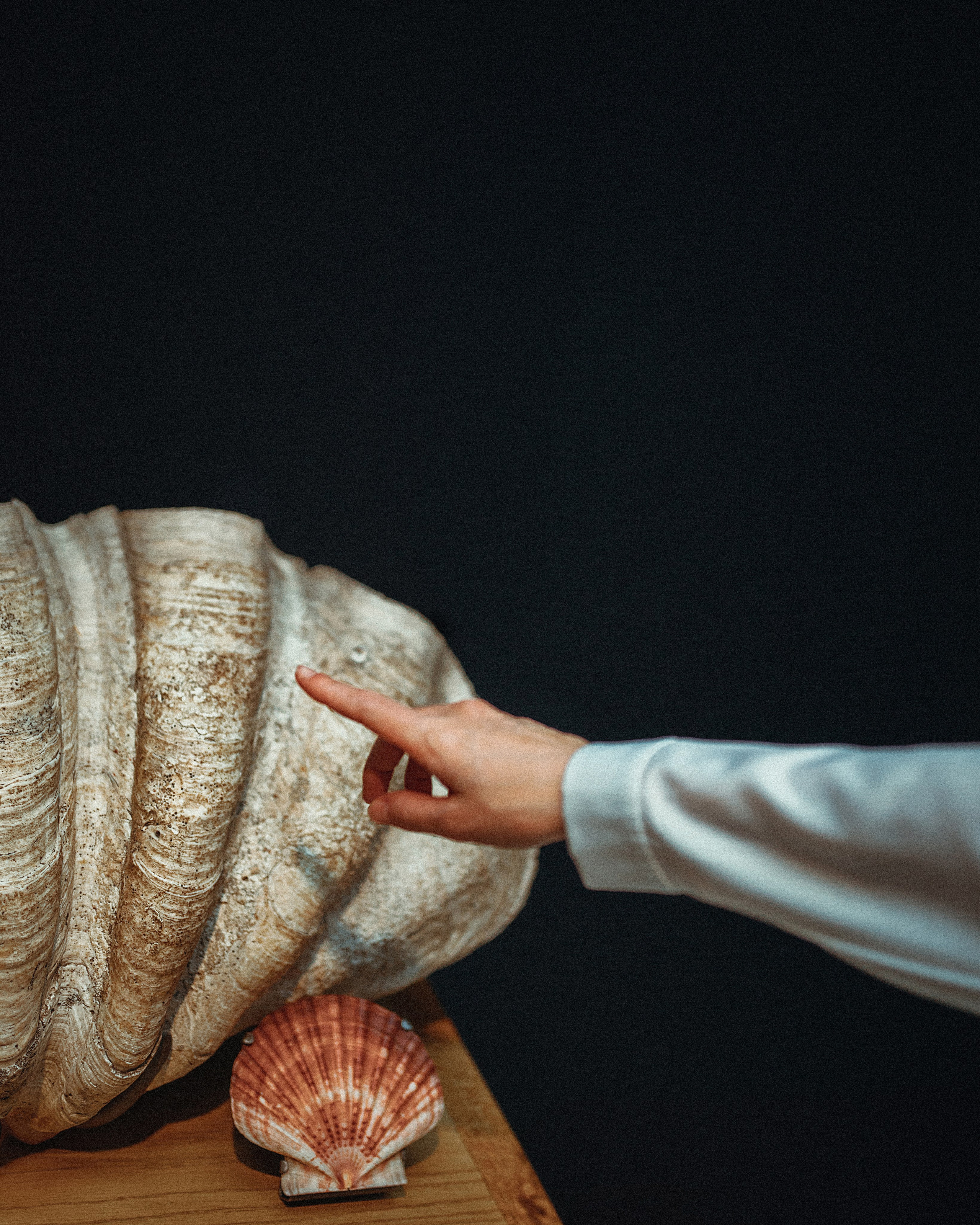 Natural History Museum photoshoot in Dark Academia style. Moth & Moss Photography