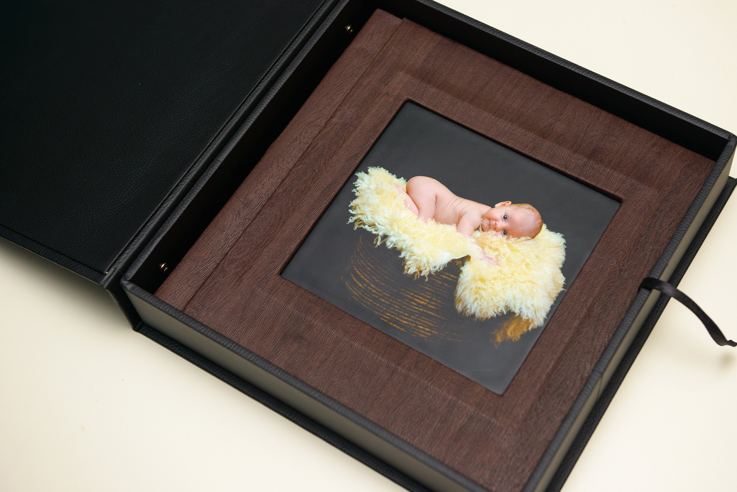 Albume Bogdan Palenciuc