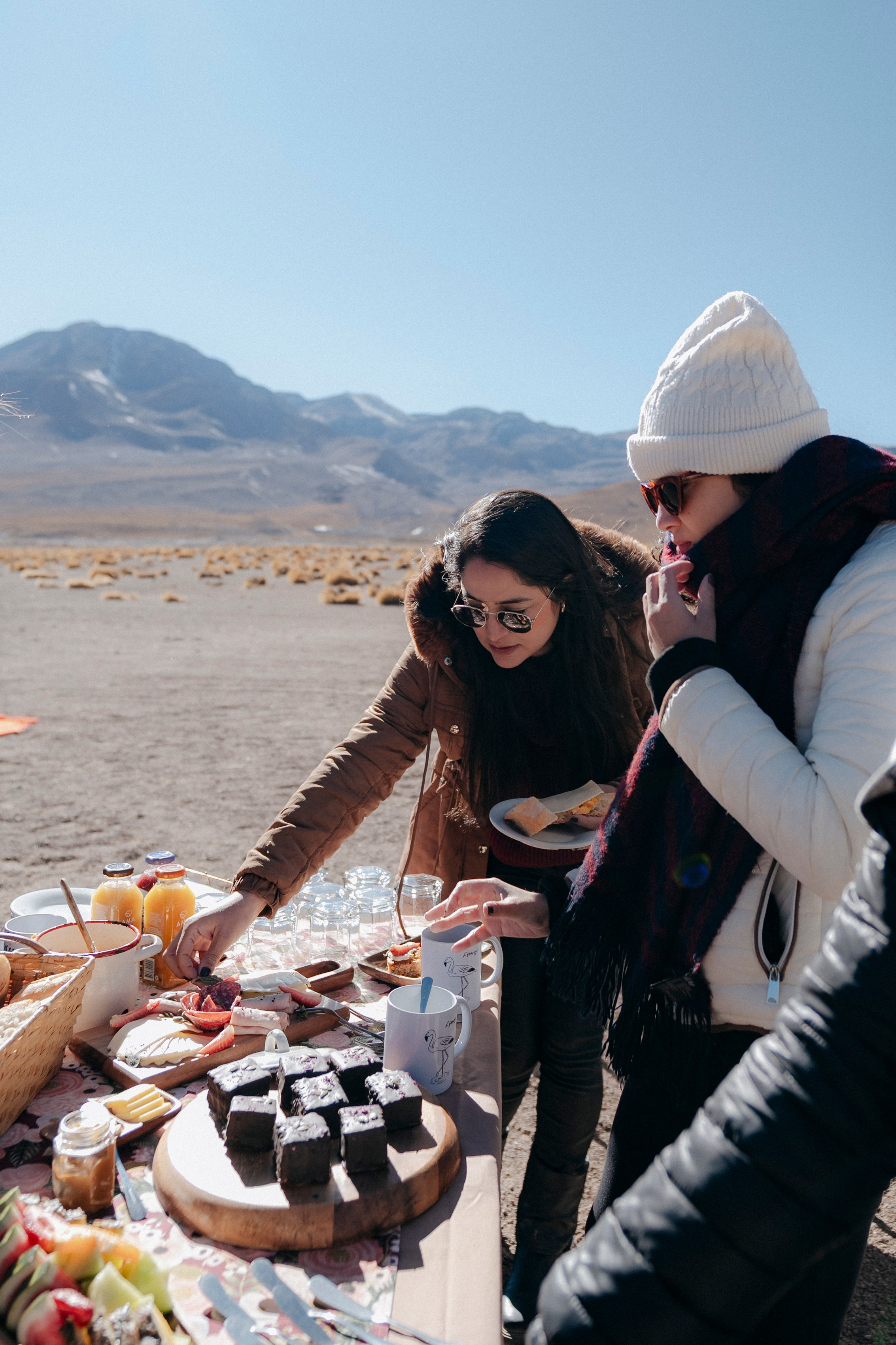 Geyser El Tatio (cobertura en tour privado). Principal