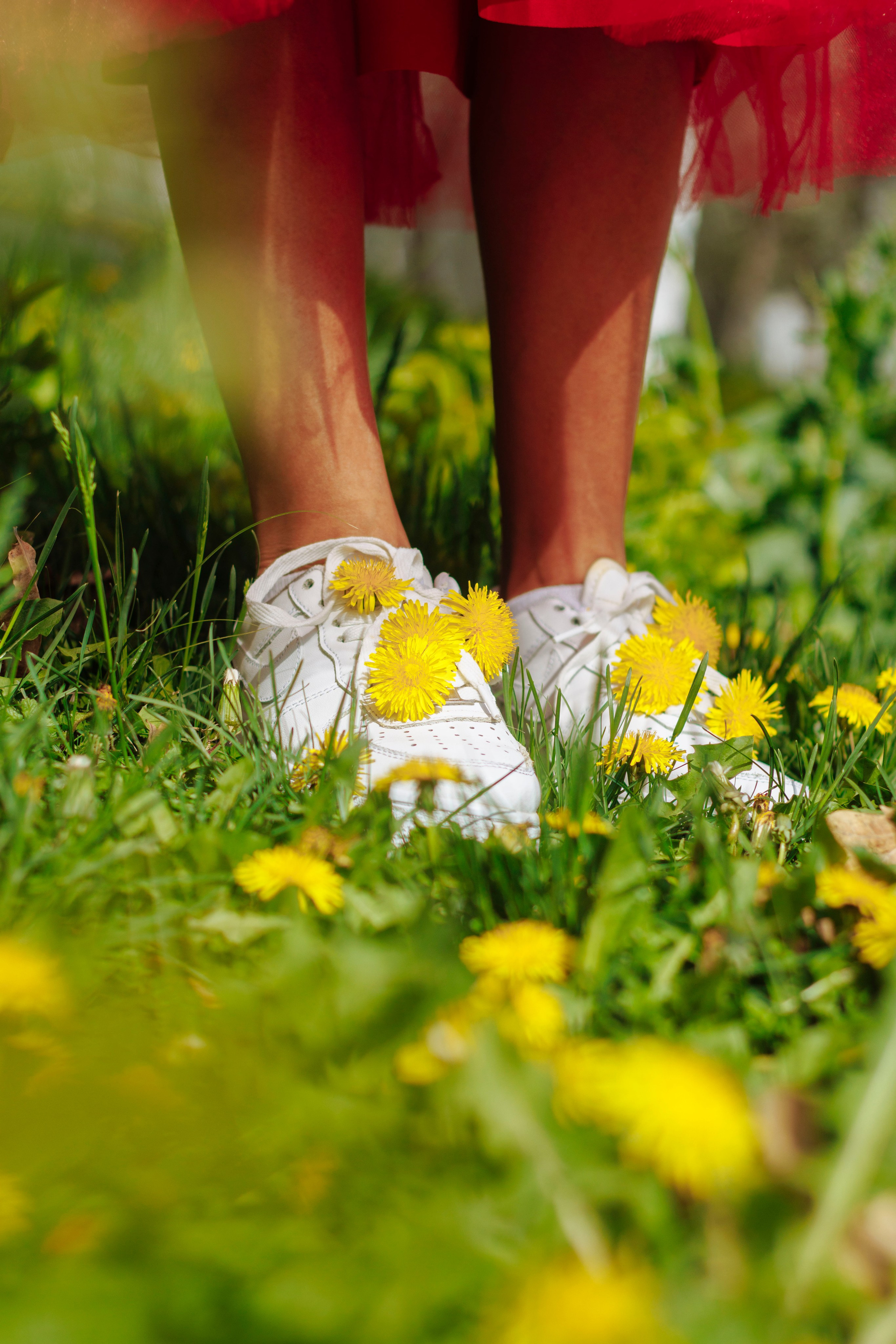 Елена. Фотограф в Ташкенте, Аксенова Дарья