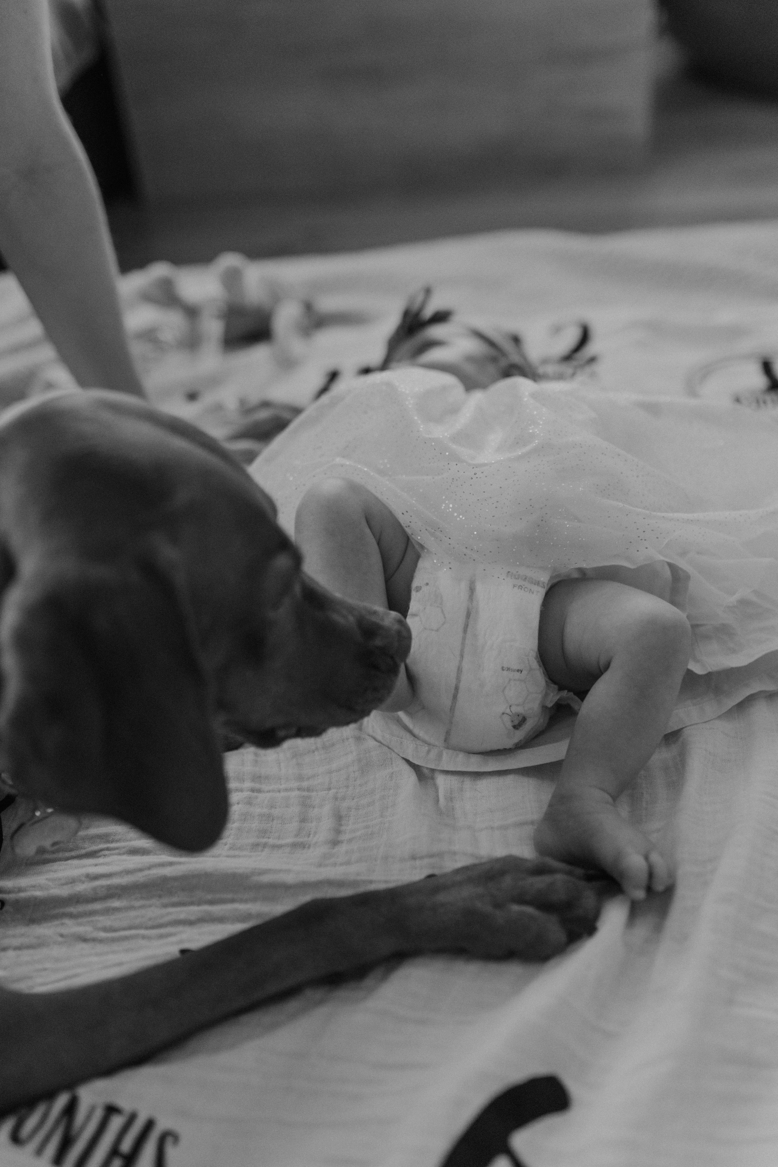 Sarah Ilaria — Newborn. Main