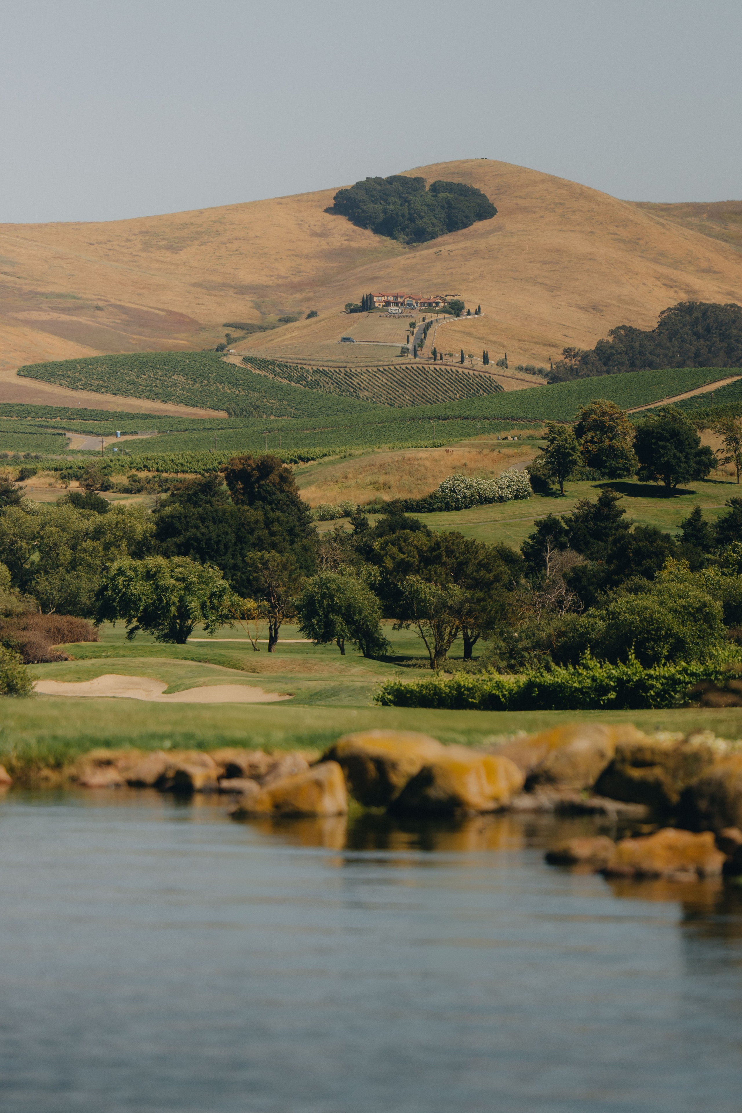 Coleman & Erenia Wedding in Napa | Georgy Shishkin Photography. Portland & Seattle Wedding, Elopement & Engagement Photographer | Georgy Shishkin