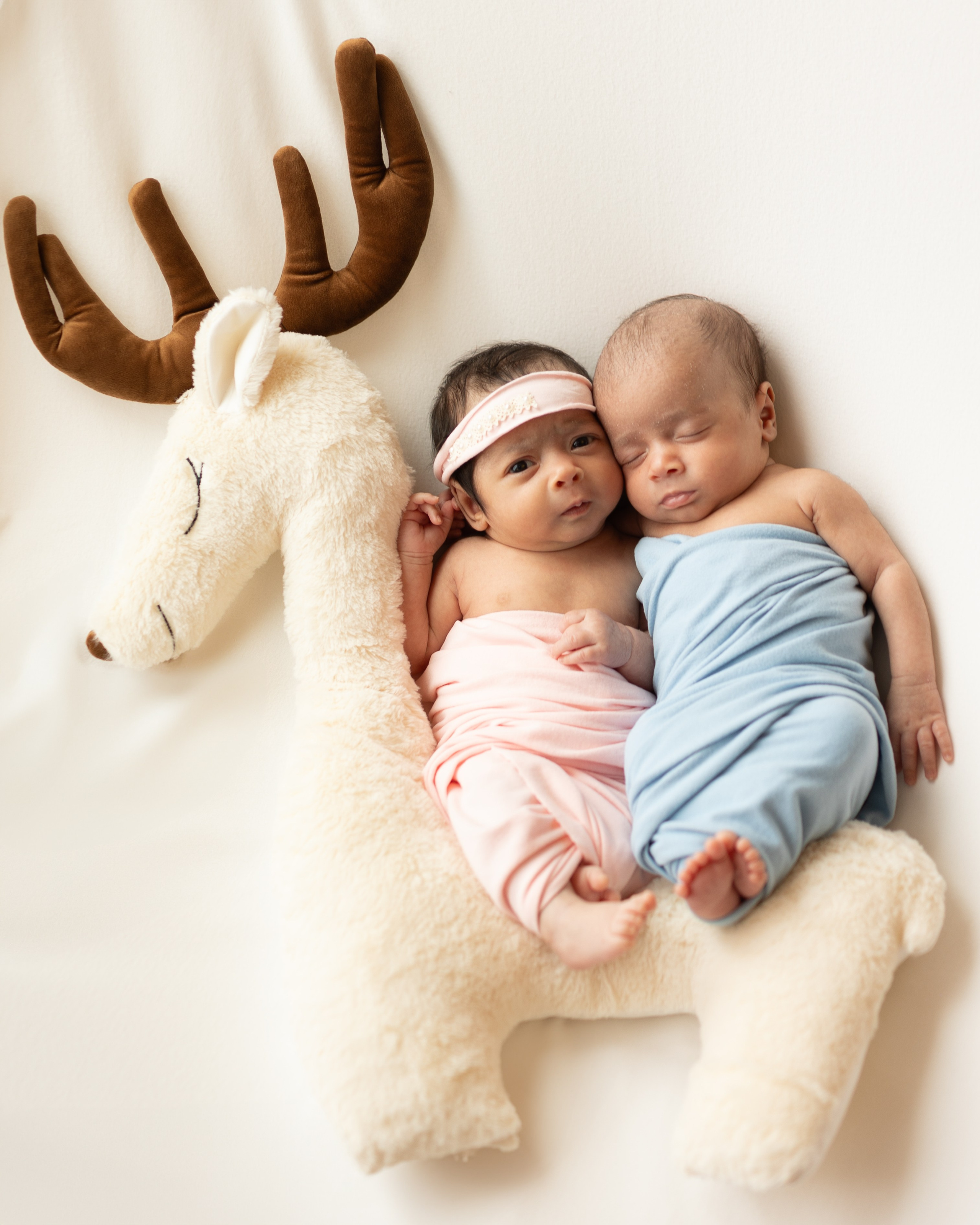 Born Together, Loved Forever. Family, lifestyle, and commercial photography in New York and New Jersey