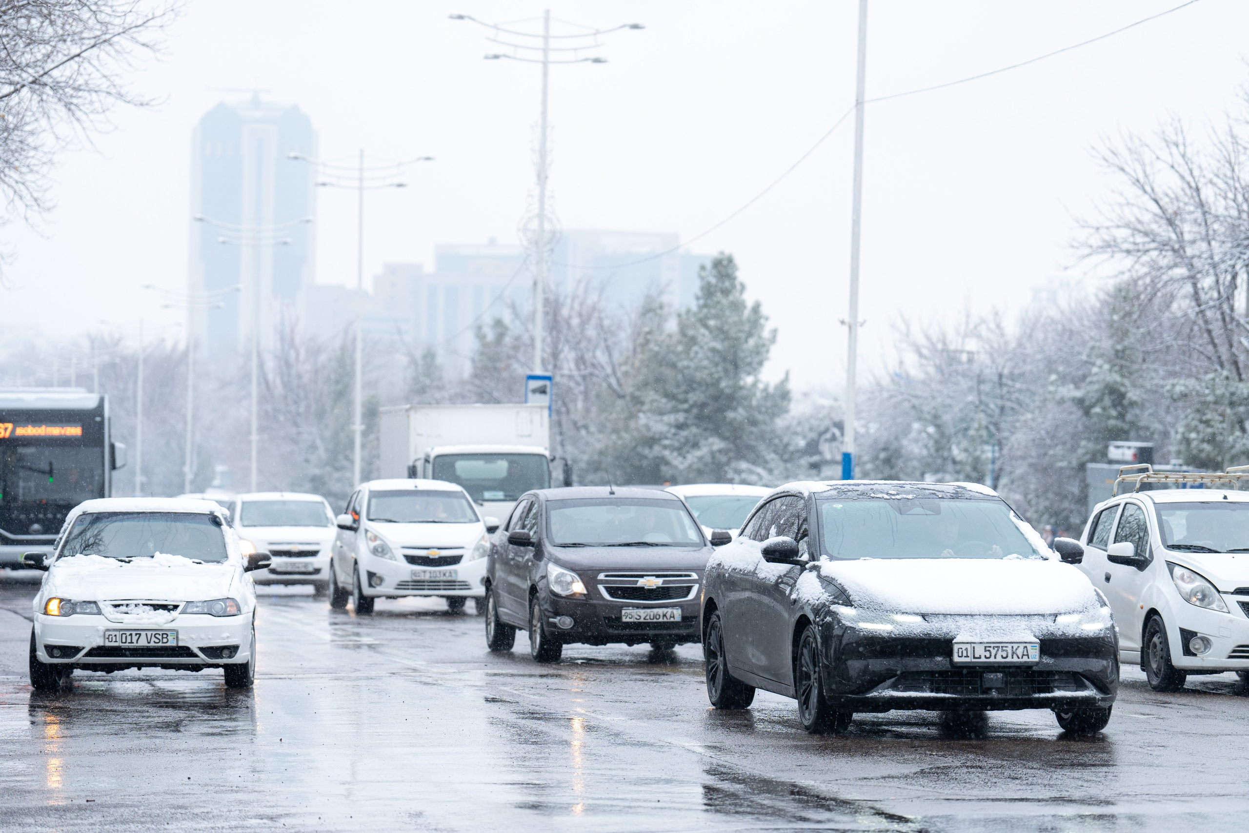 Первый снег в 2024 году. Георгий Намазов | Фотограф в Ташкенте