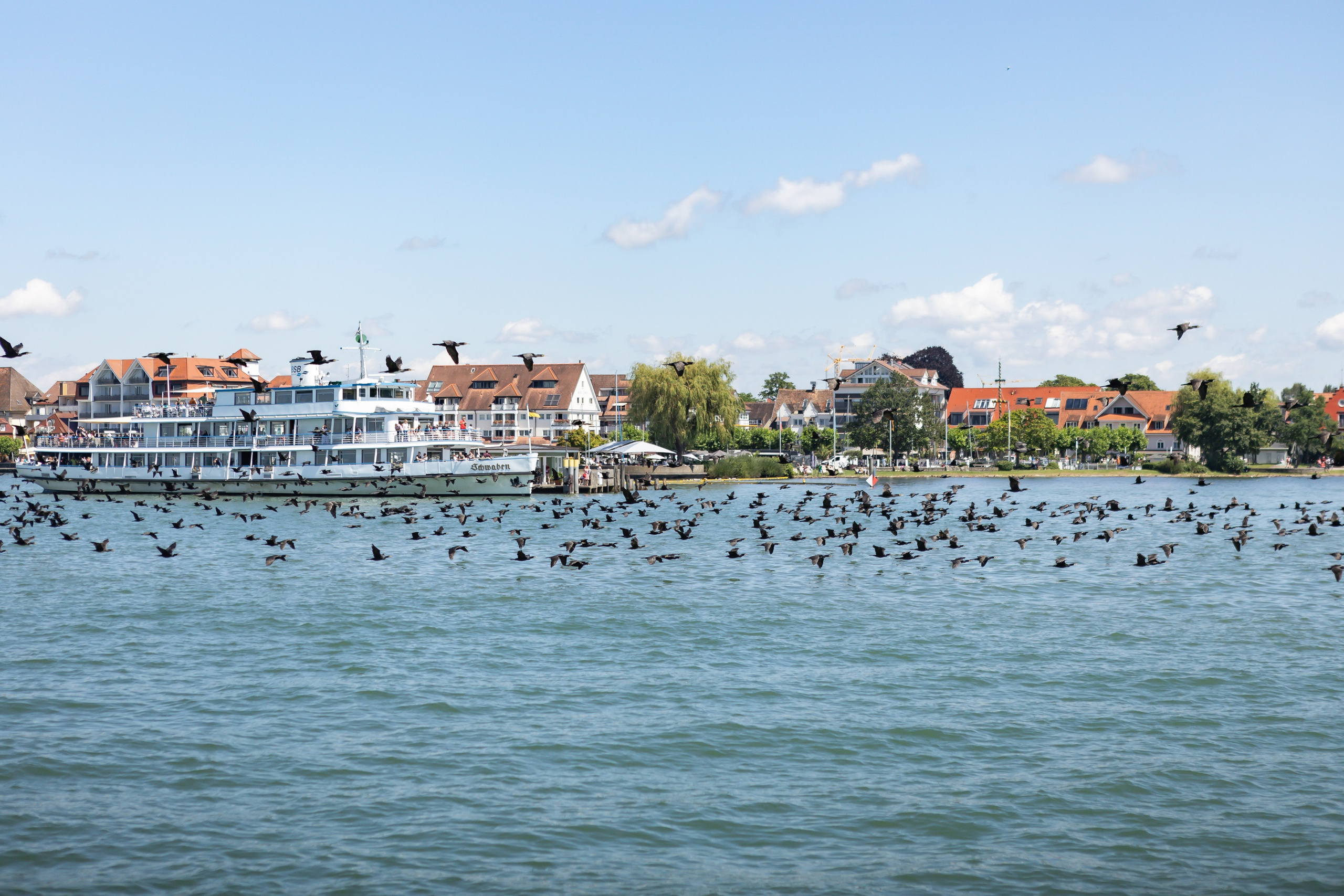 <img src="bild1.jpg" alt="Lindau Insel Fotografie kaufen"><img src="bild2.jpg" alt="Lindau Bodensee Bilder"><img src="bild3.jpg" alt="Lindau Altstadt Fotos kaufen"><img src="bild4.jpg" alt="Lindau Hafen Fotodruck"><img src="bild5.jpg" alt="Lindau Uferpromenade Wandbilder"><img src="bild6.jpg" alt="Lindau Kunstfotografie kaufen"><img src="bild7.jpg" alt="Lindau Leuchtturm und Löwe Bilder"><img src="bild8.jpg" alt="Lindau Innenstadt schöne Bilder"><img src="bild9.jpg" alt="Lindau Landschaftsfotografie kaufen"><img src="bild10.jpg" alt="Lindau Bodensee Fotos als Deko">