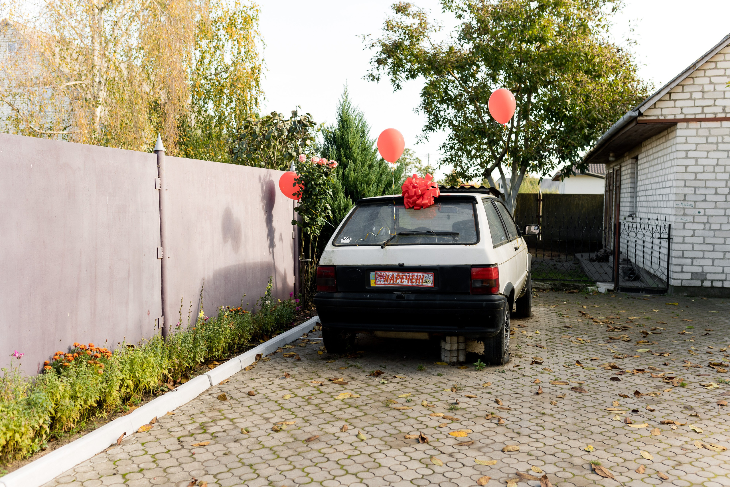 Богдана та Влад. Ірина Терещук