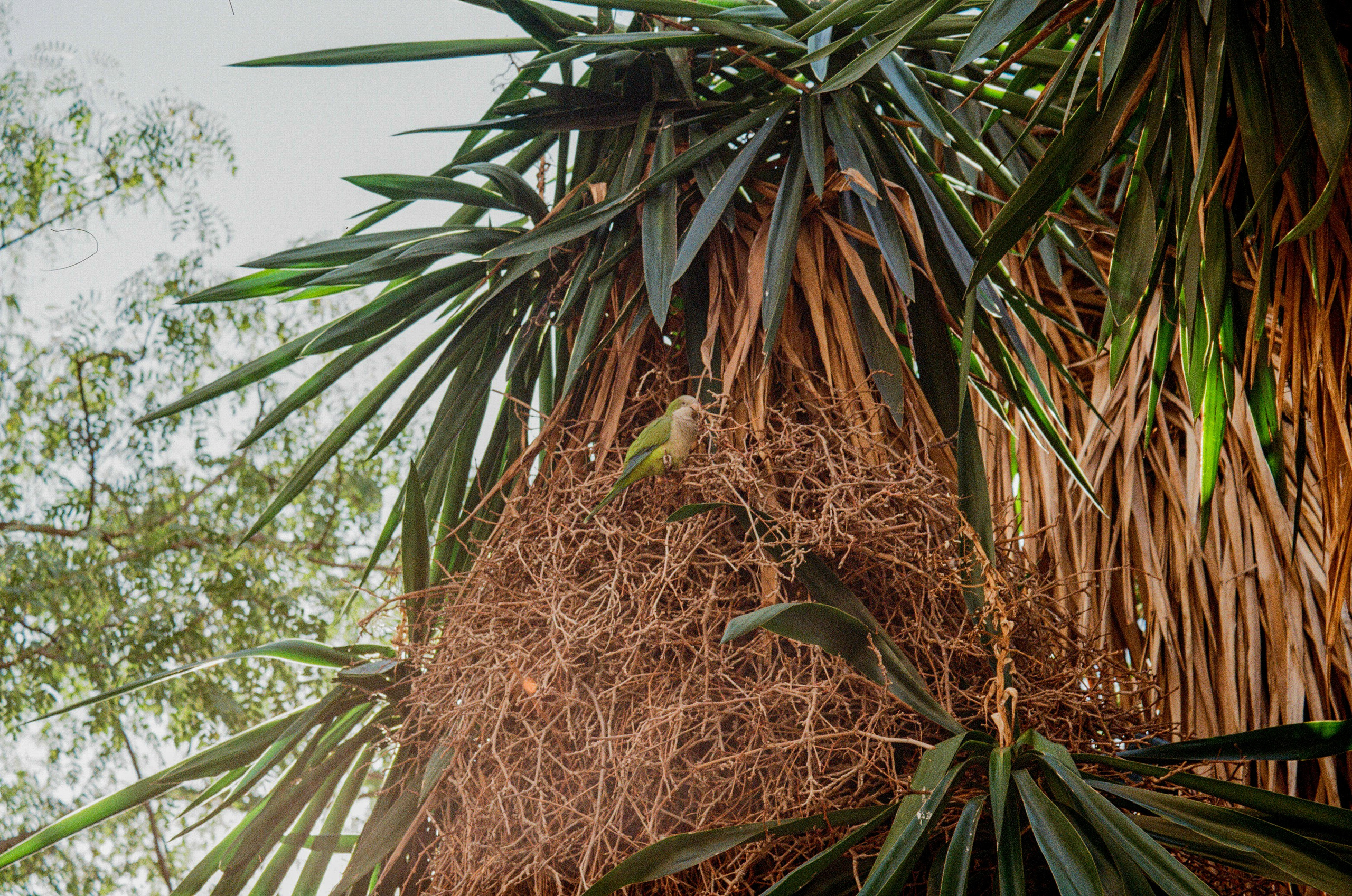 Barcelona — Light, Rhythm and Architecture. Wedding Stories — Professional Wedding Photography & Videography in Germany, Italy, Spain & all across Europe