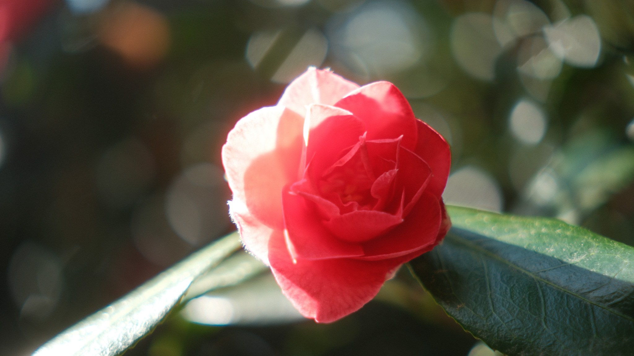 Wales Road Trip 2026. Callum Ecobichon