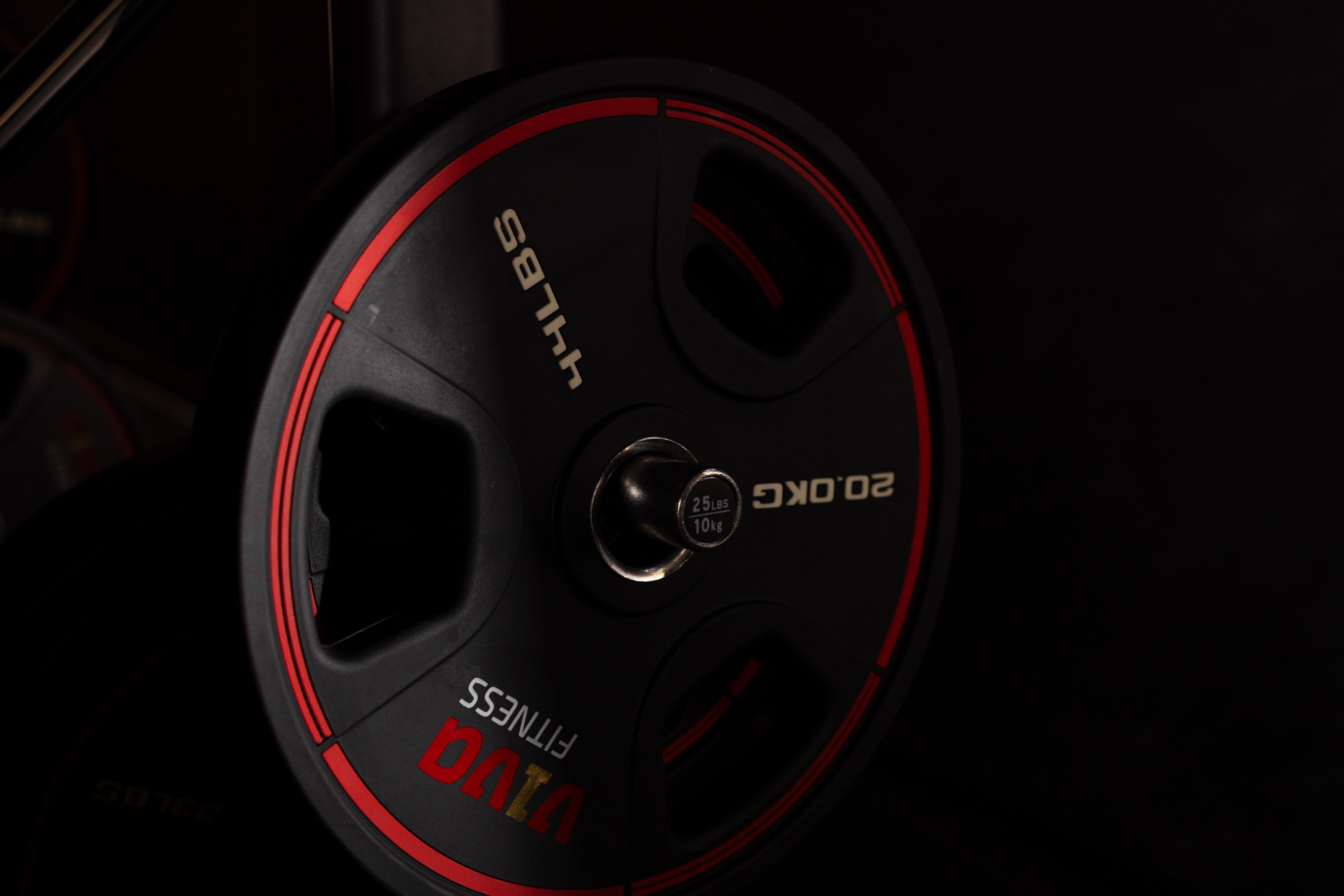 IMAGE FOTO & VIDEO. Fotografin und Videografin im Raum Osnabrück und Emsland Alla