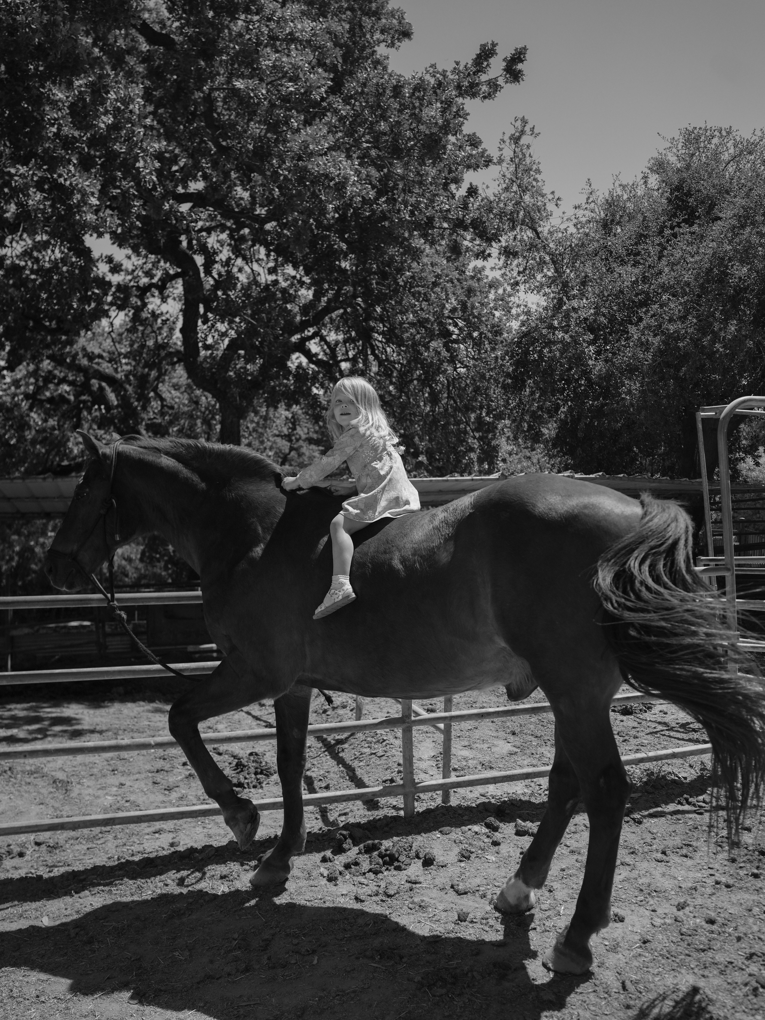 Children with horses. Фотограф и видеограф в США (и по всему миру) — Татьяна Иванова