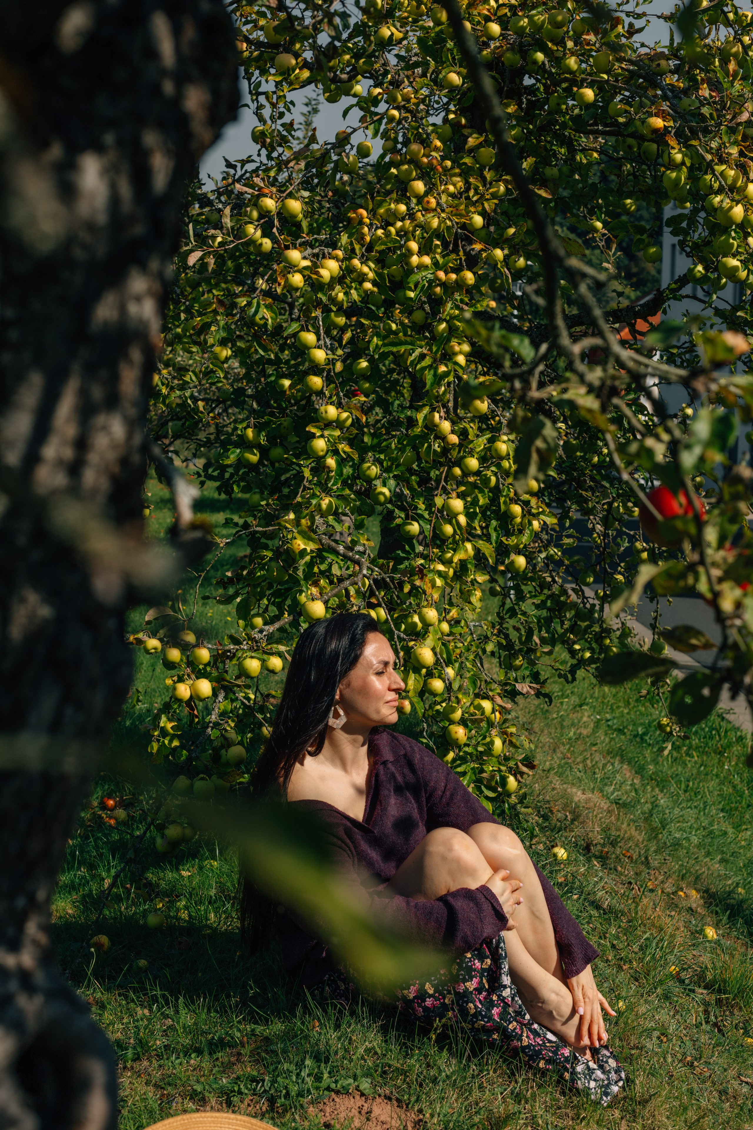 In Garten. PHOTOgrapher Germany MARBURG