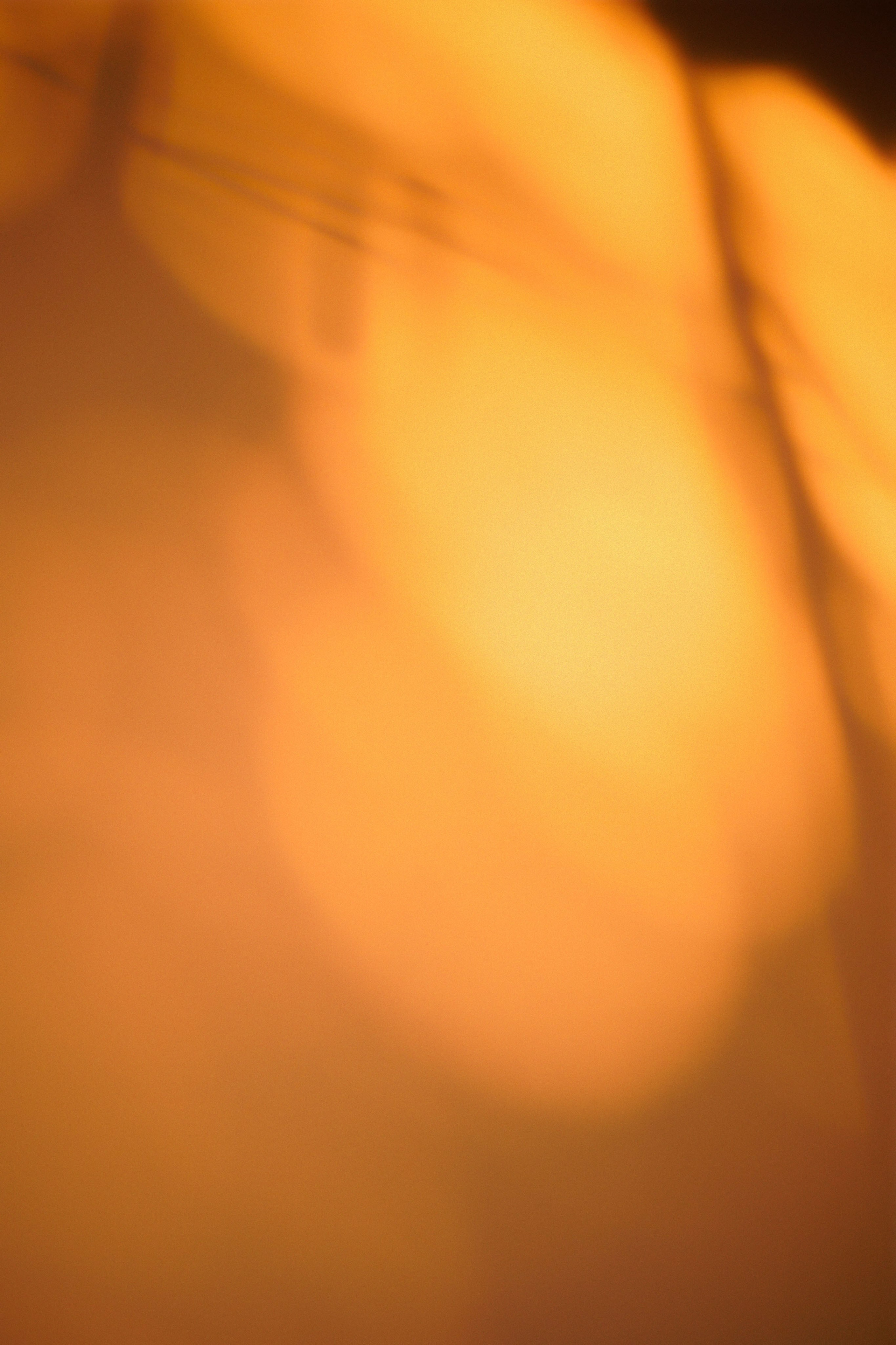 Sunset. Žukov Studio