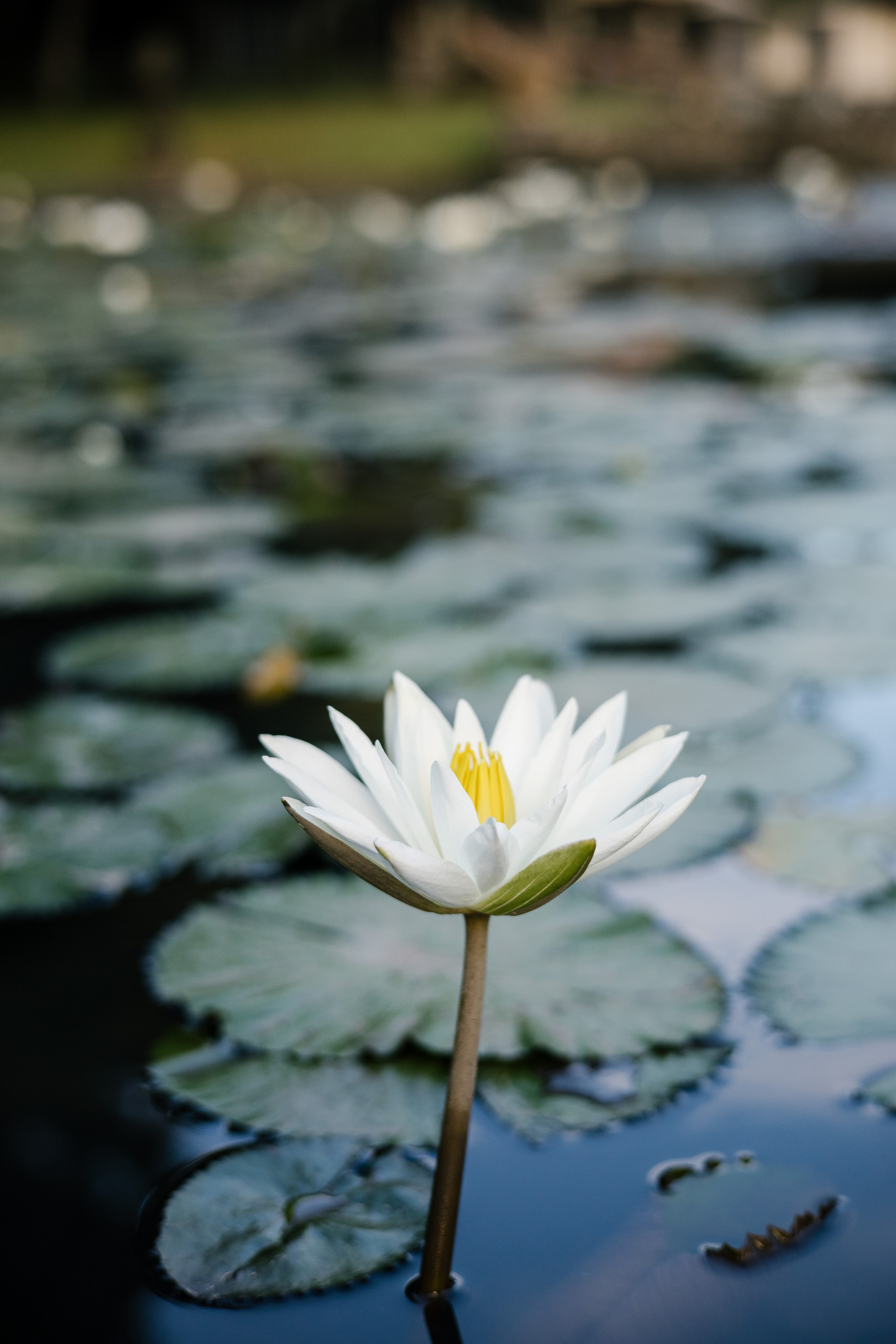 Kamau & Siobhan. Get.it.feel — Aesthetic Photography and Videography