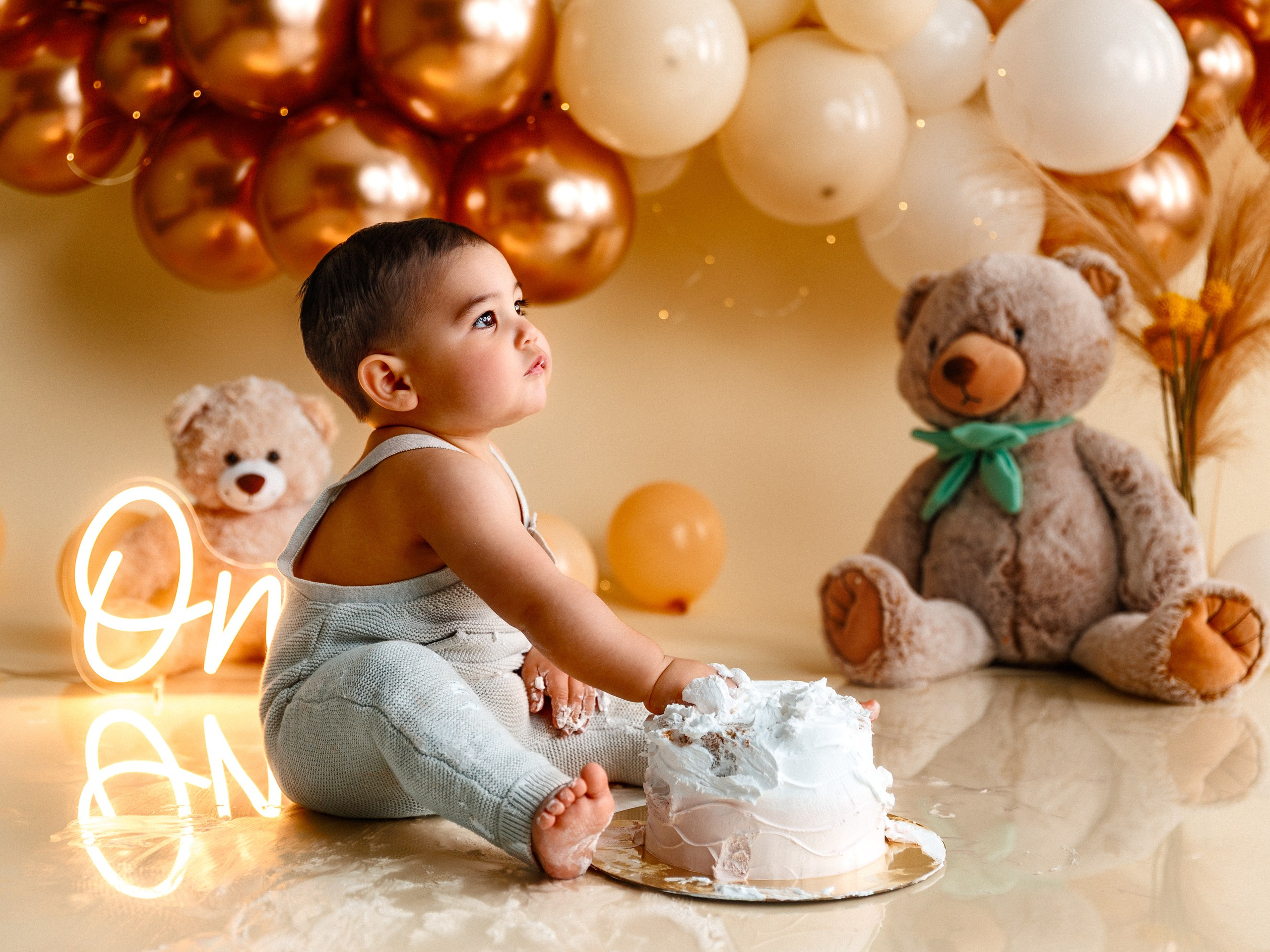 Cake Smash Photography Indianapolis & Beech Grove | Fine Art
