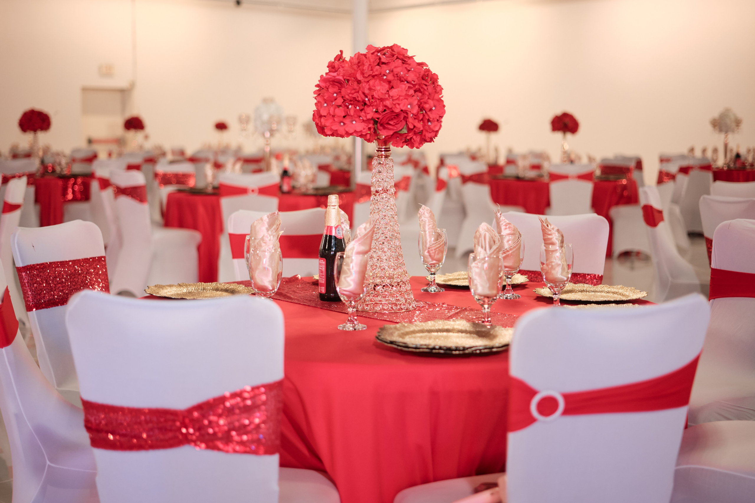 Blue Moon Events: Espacio y Comodidad para Quinceañeras)