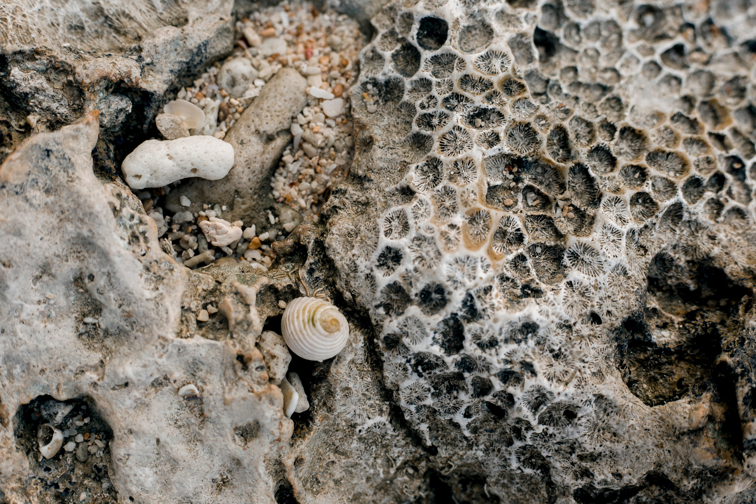 Andaman Islands, Part2. Art Photographer