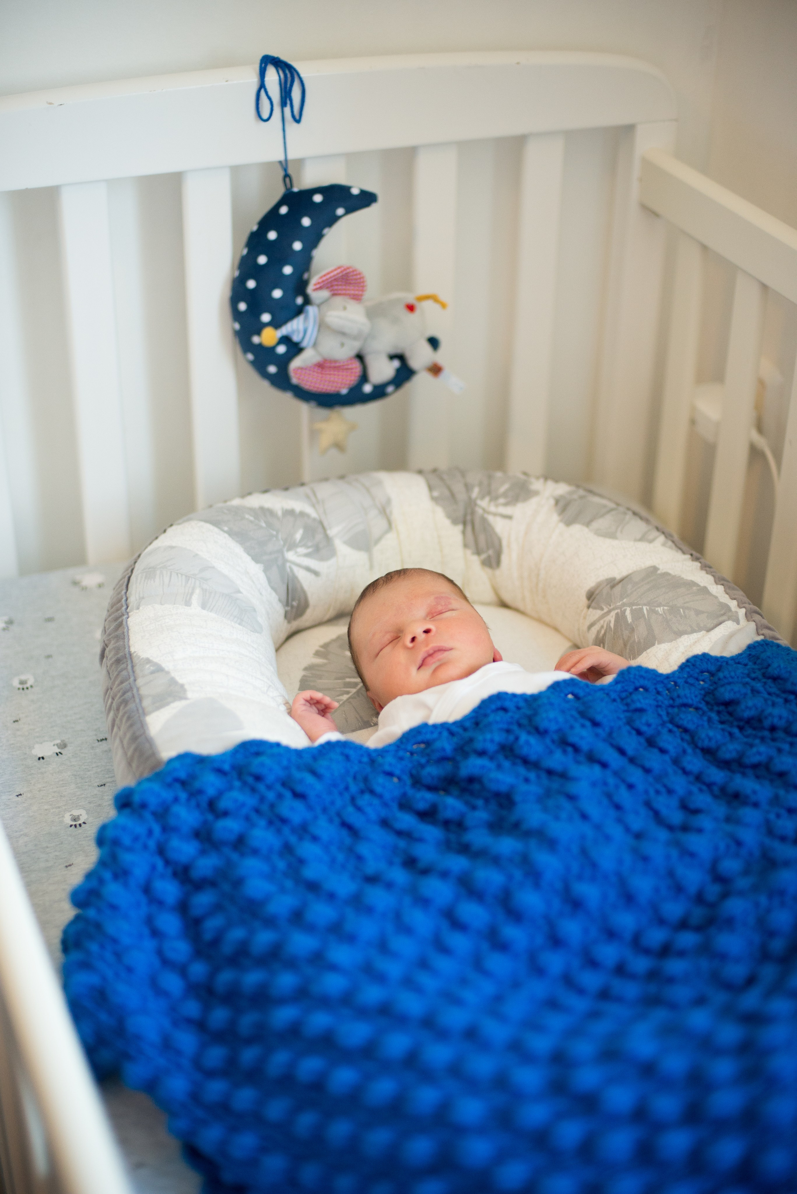 Семья Ильи и Мелани. Визуальный брендинг