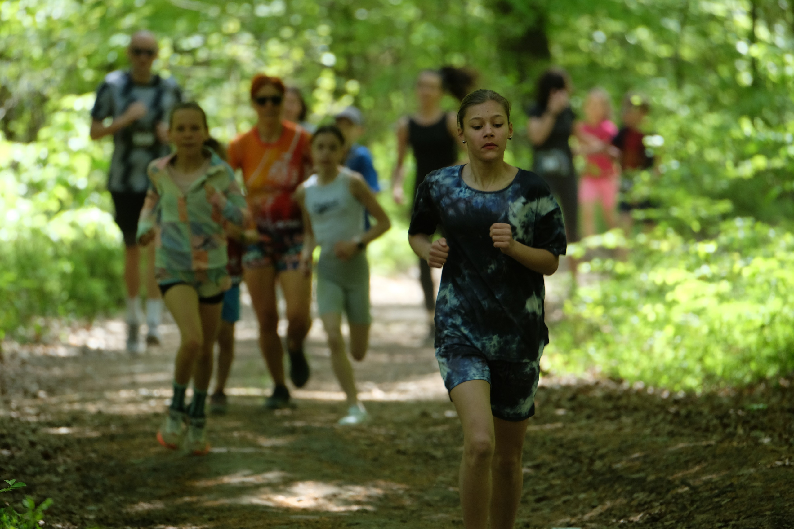 Aleksandryjska Piątka po lesie. Main
