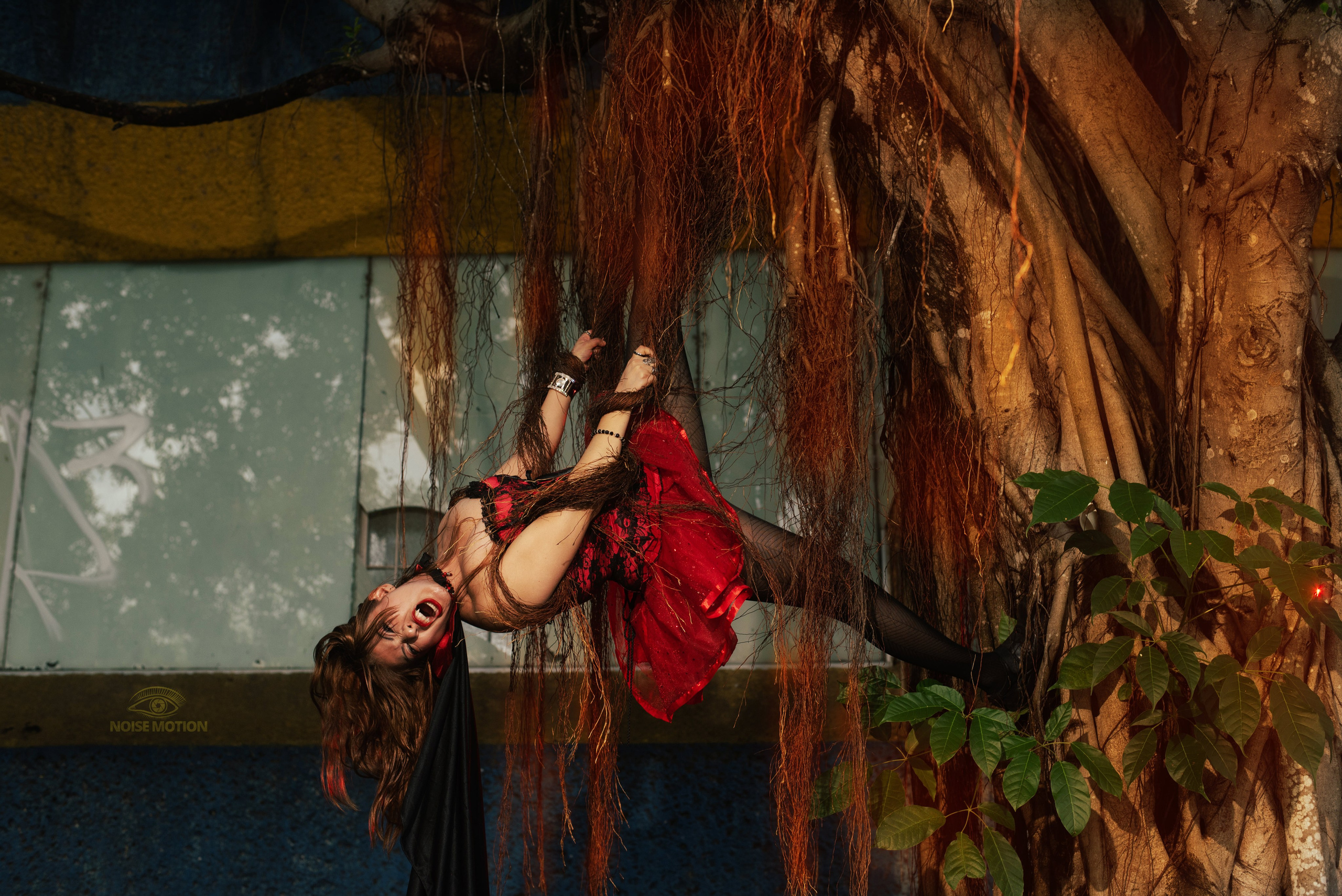 Sesión de fotos. Fotografía Profesional - Noise Motion