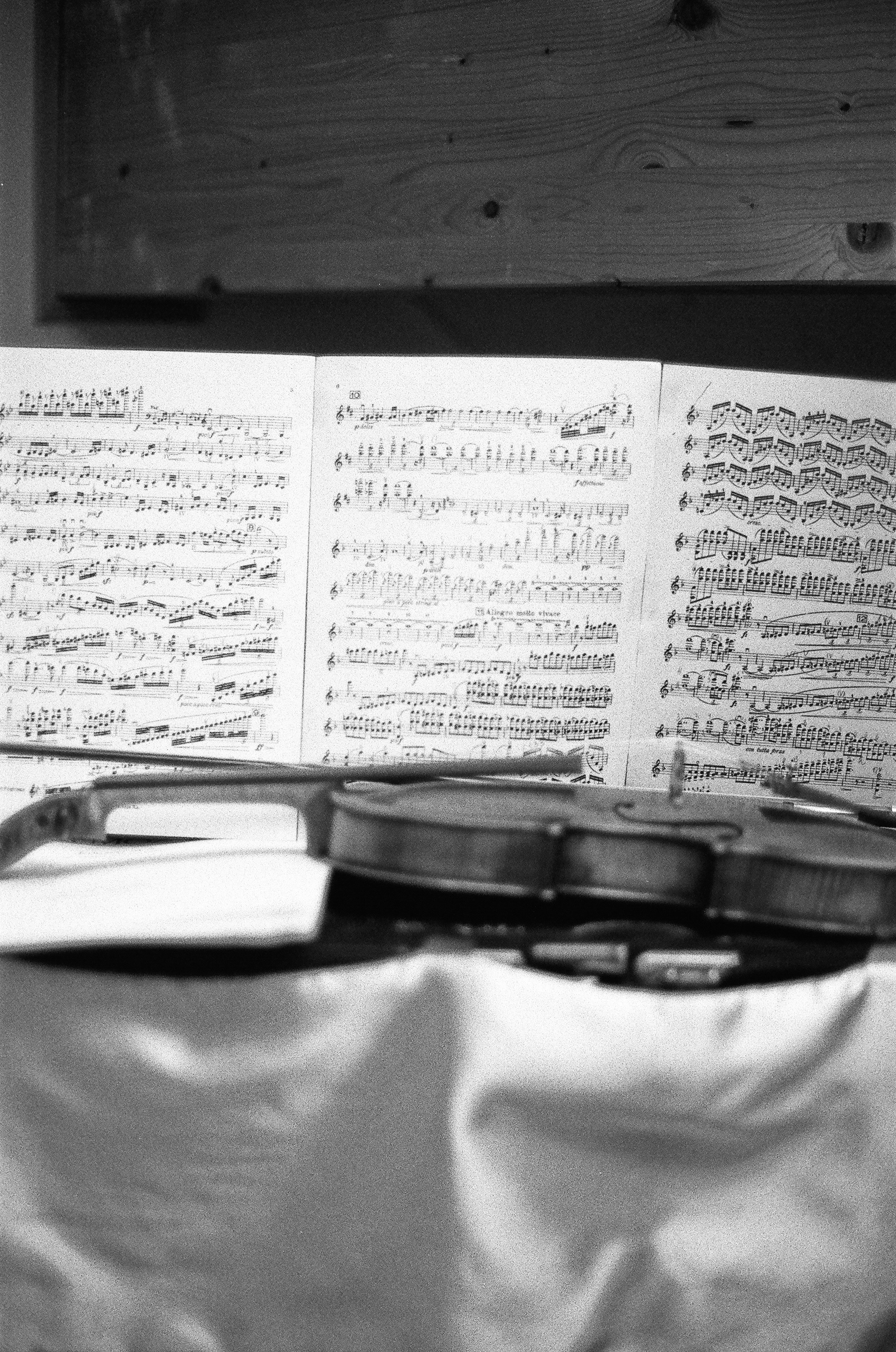 Argentique 🎞️ 📷. Anastasia Shapoval violoniste et photographe. Paris — Bourges