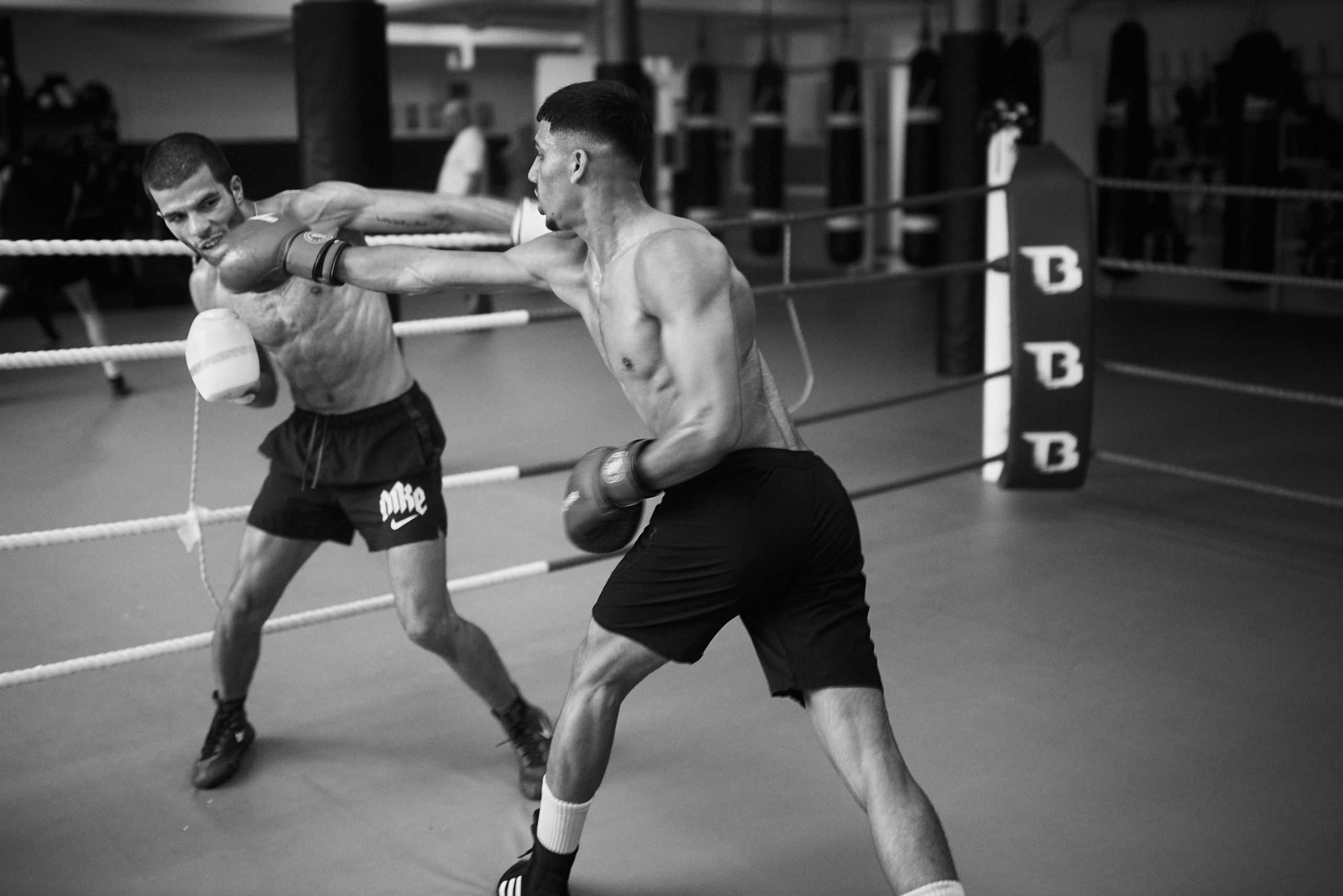 Boxing Hamid. Personal, fashion, business Photographer in Netherlands