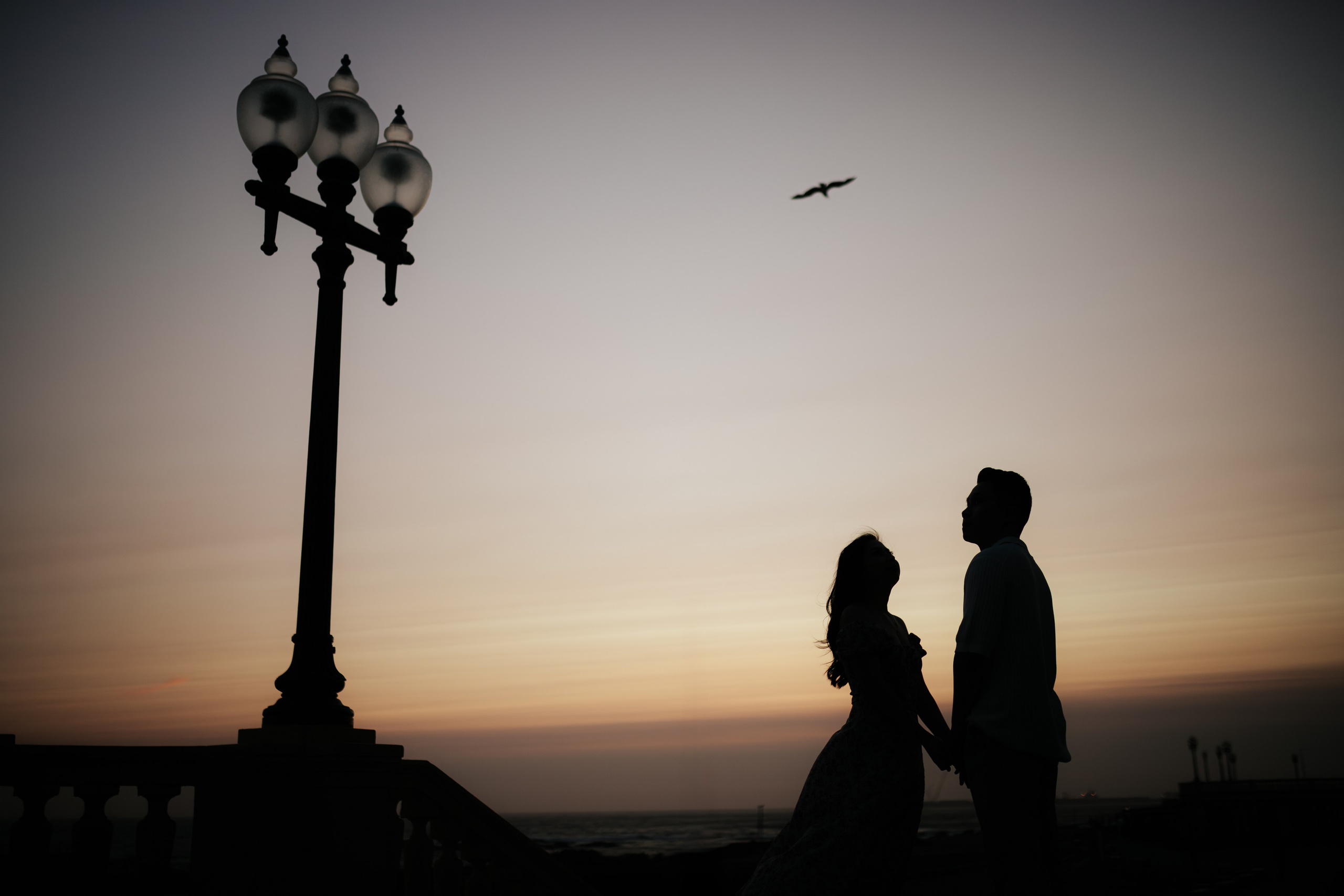 Pedido de Casamento Tony. Davi Valente