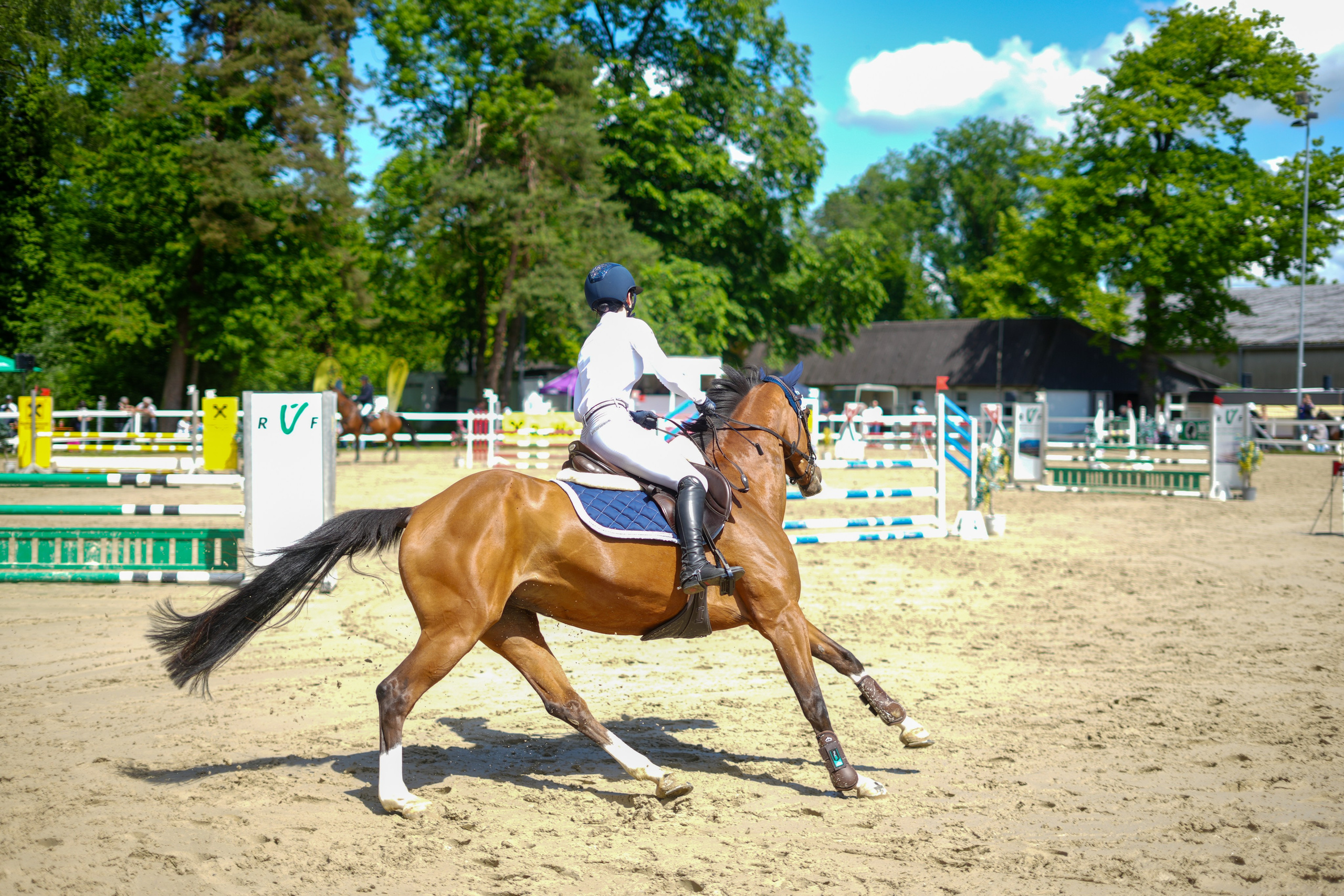 Equestrian Competition